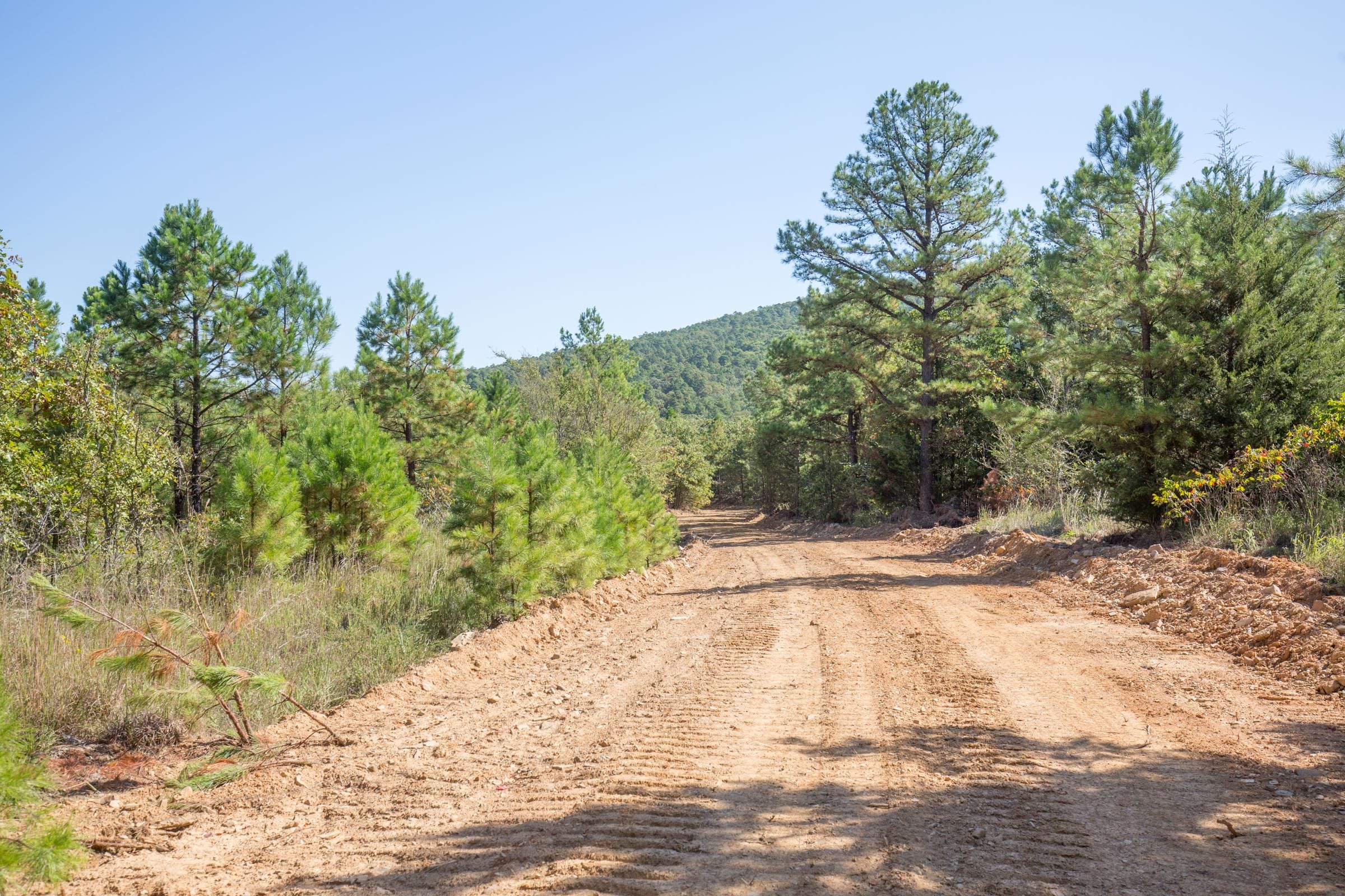 Stone Bridge Phase I Tract 64 photo 14