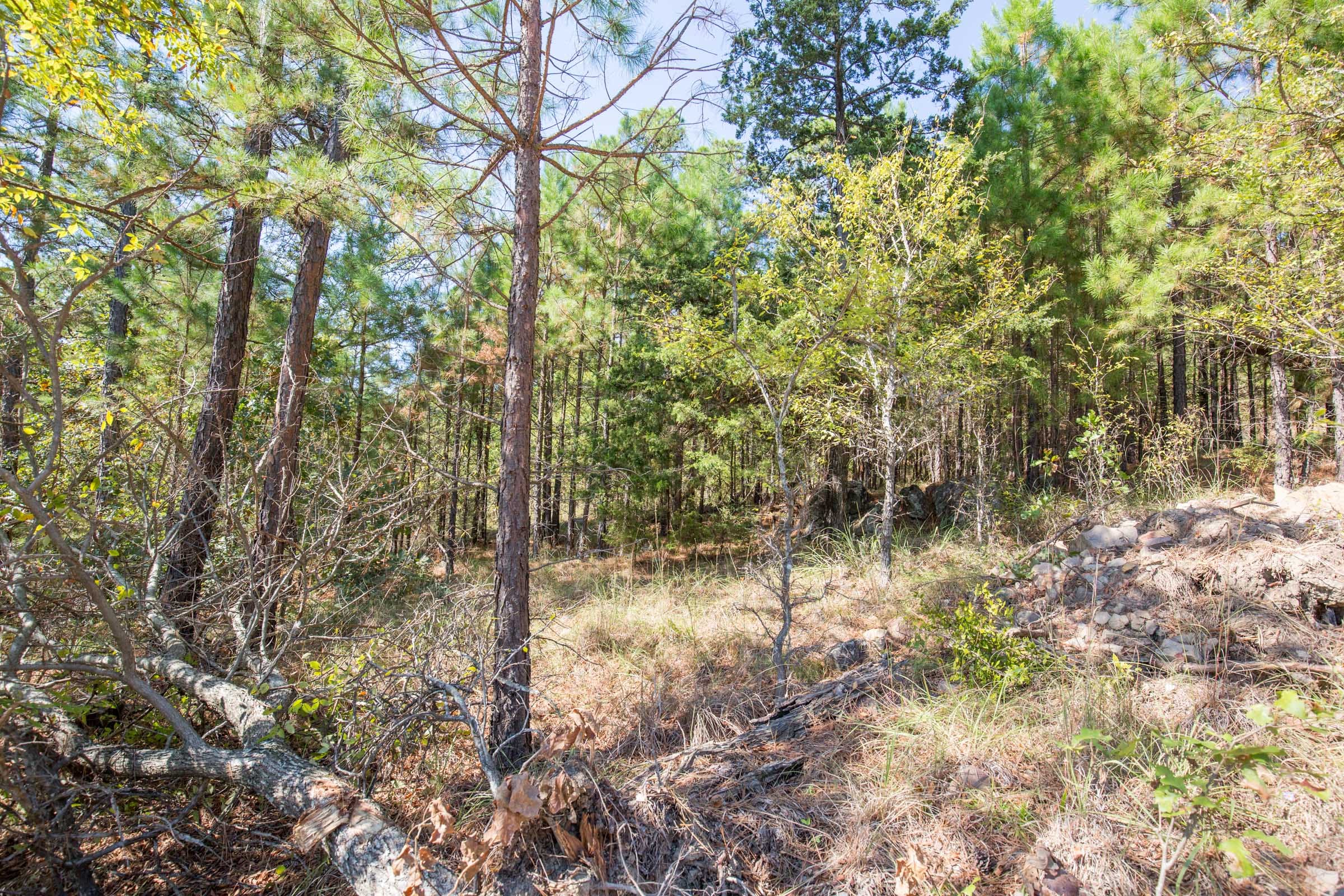 Stone Bridge Phase I Tract 64 photo 18