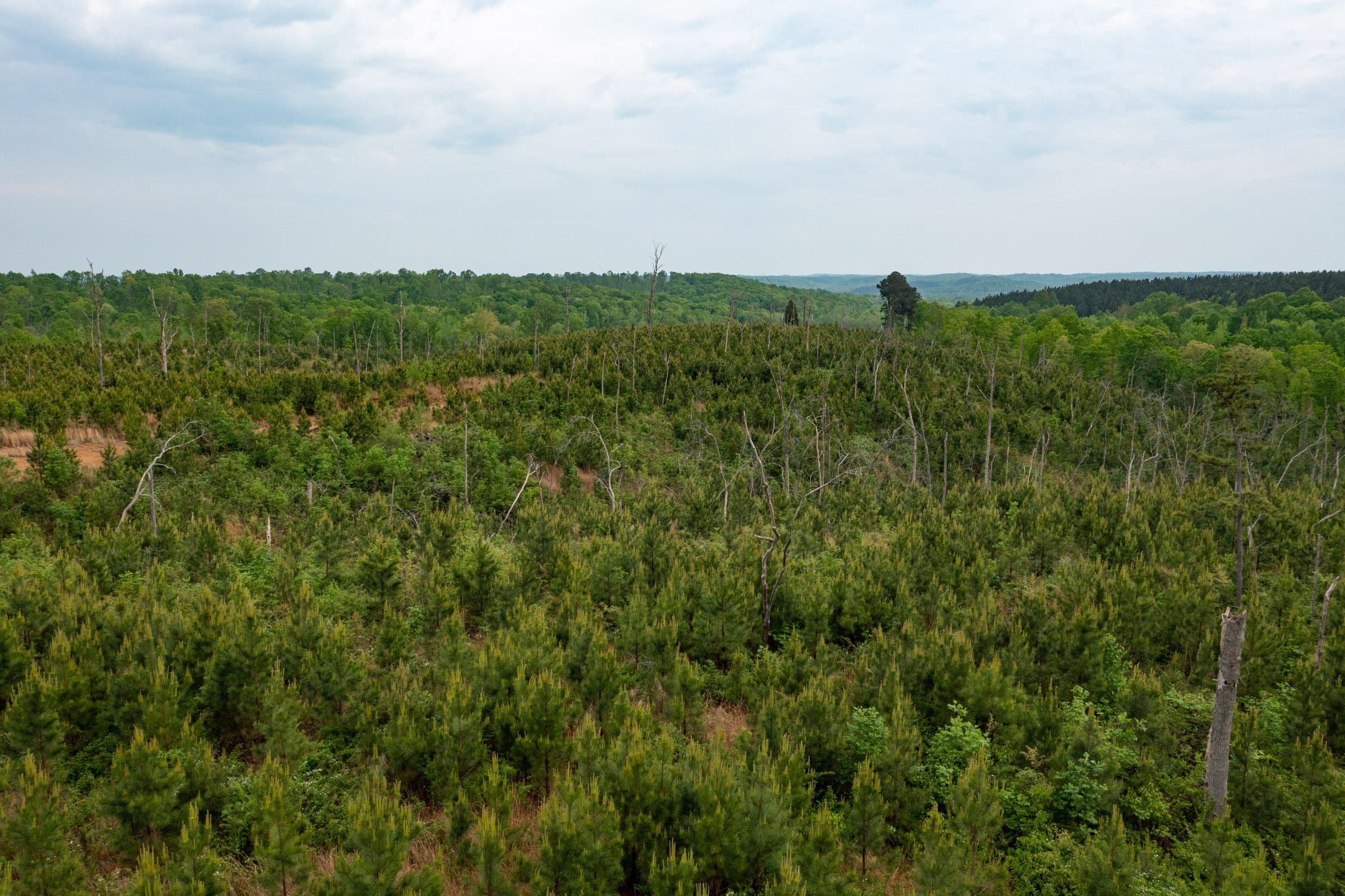 Red Barn Ranch Tract 18 photo 2