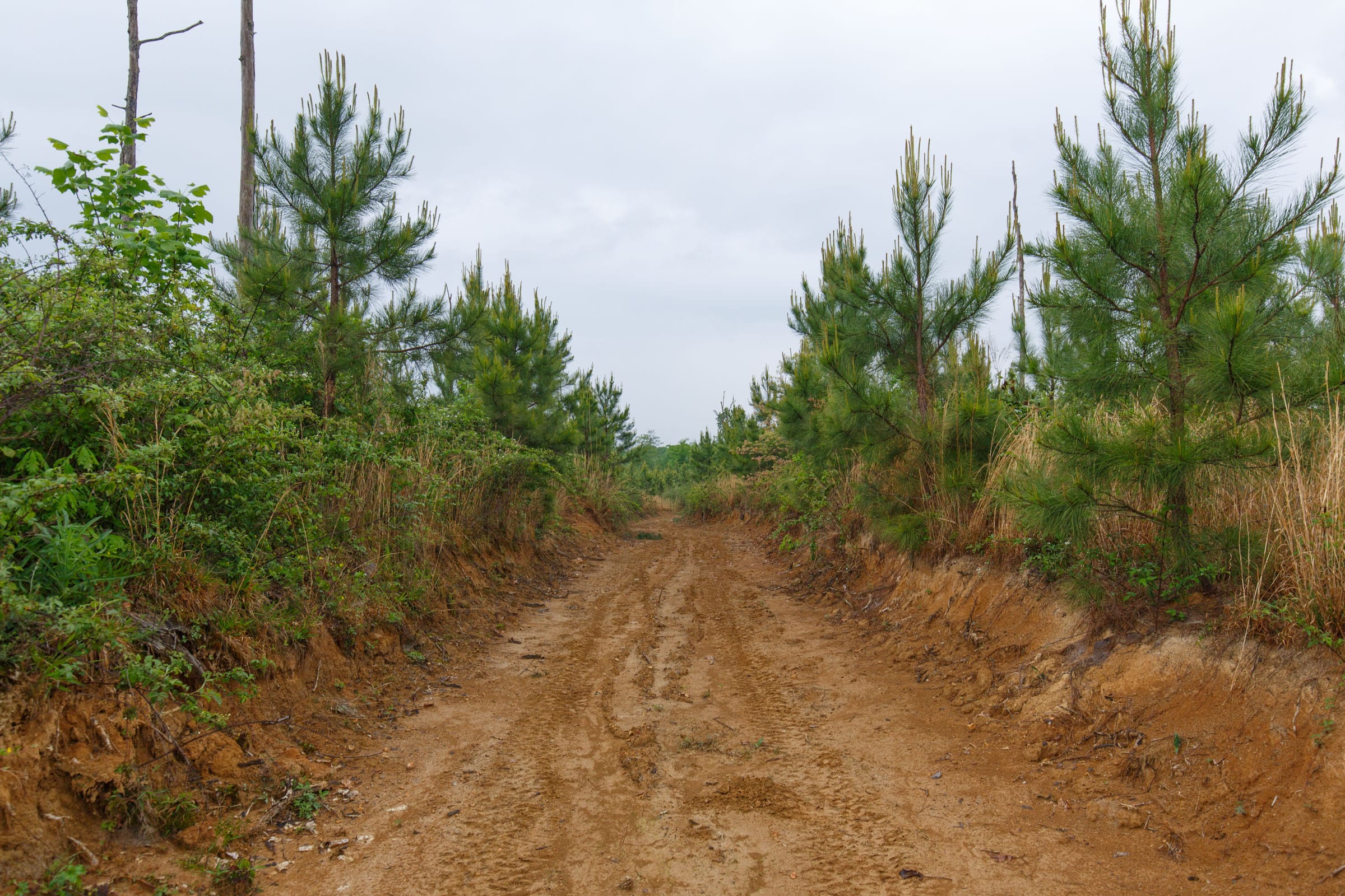 Red Barn Ranch Tract 18 photo 1