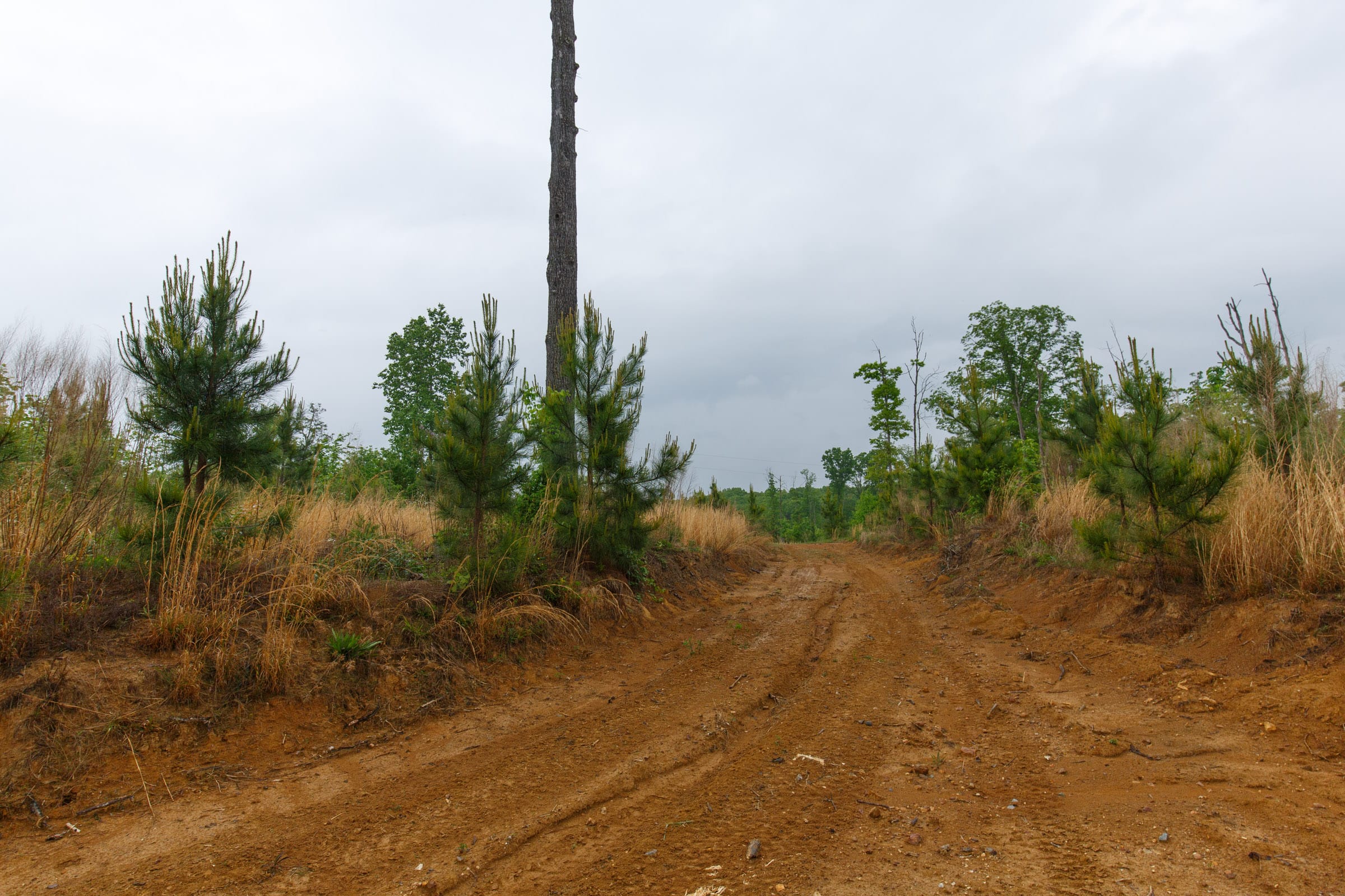 Red Barn Ranch Tract 18 photo 8