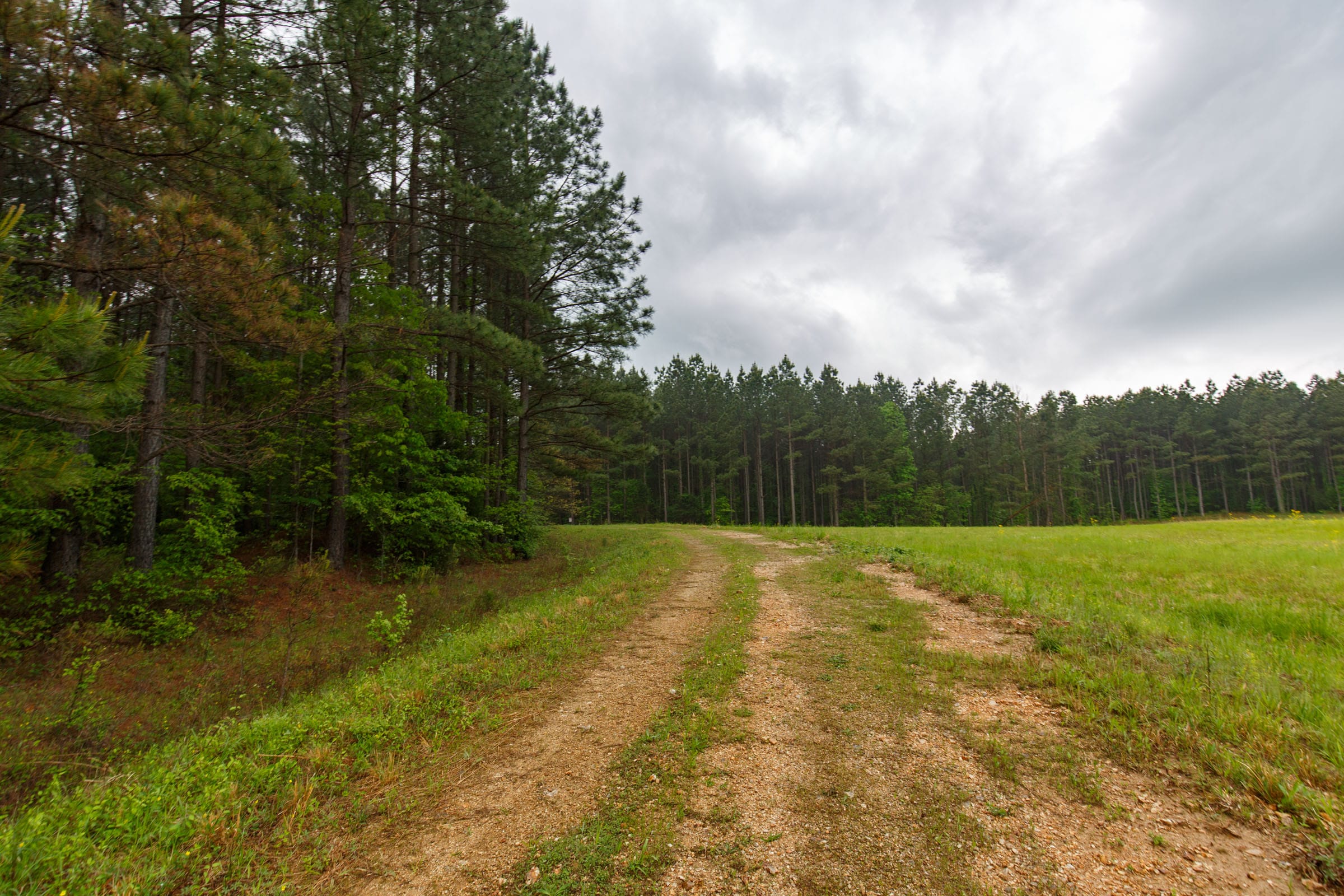 Red Barn Ranch Tract 18 photo 12
