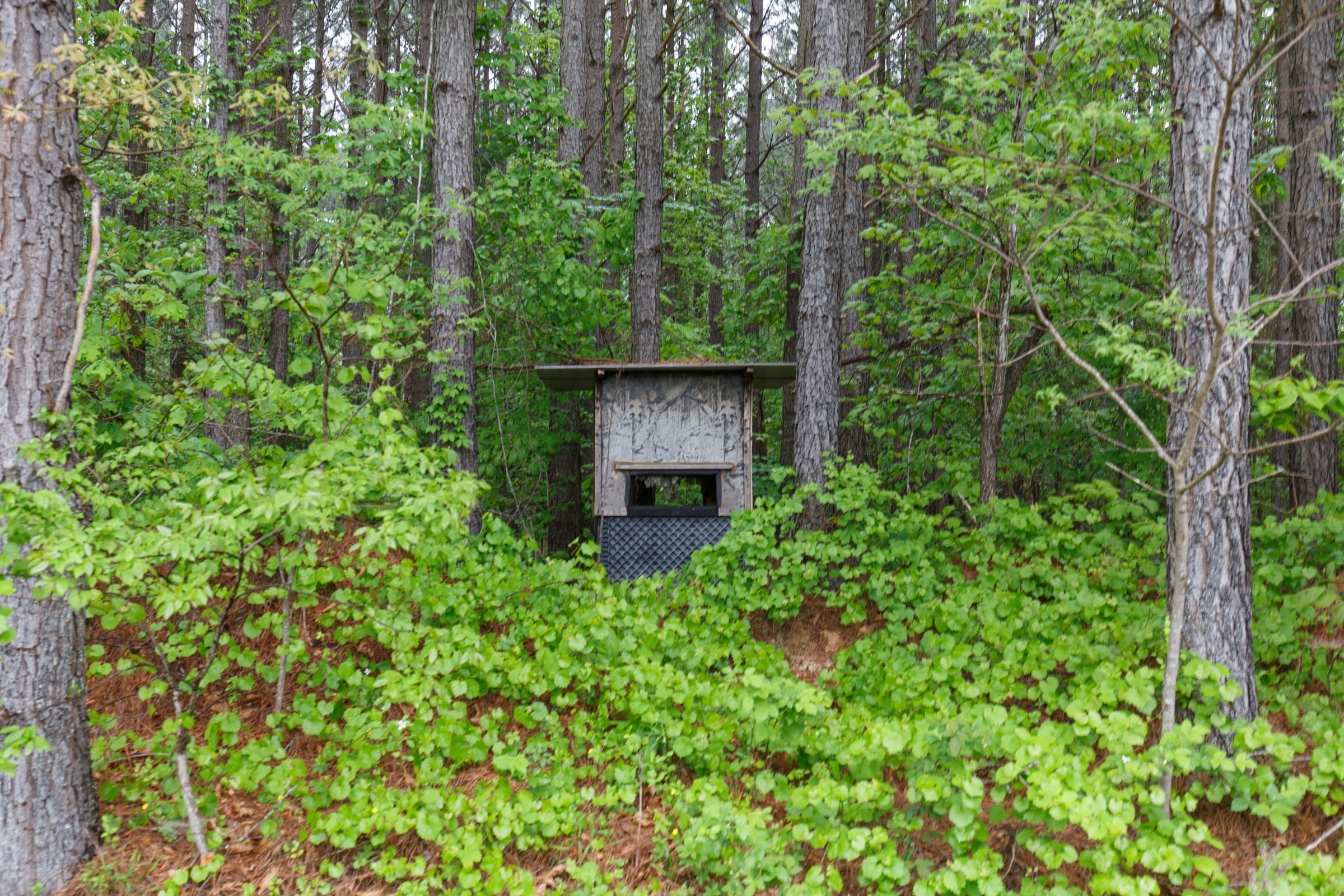 Red Barn Ranch Tract 18 photo 10