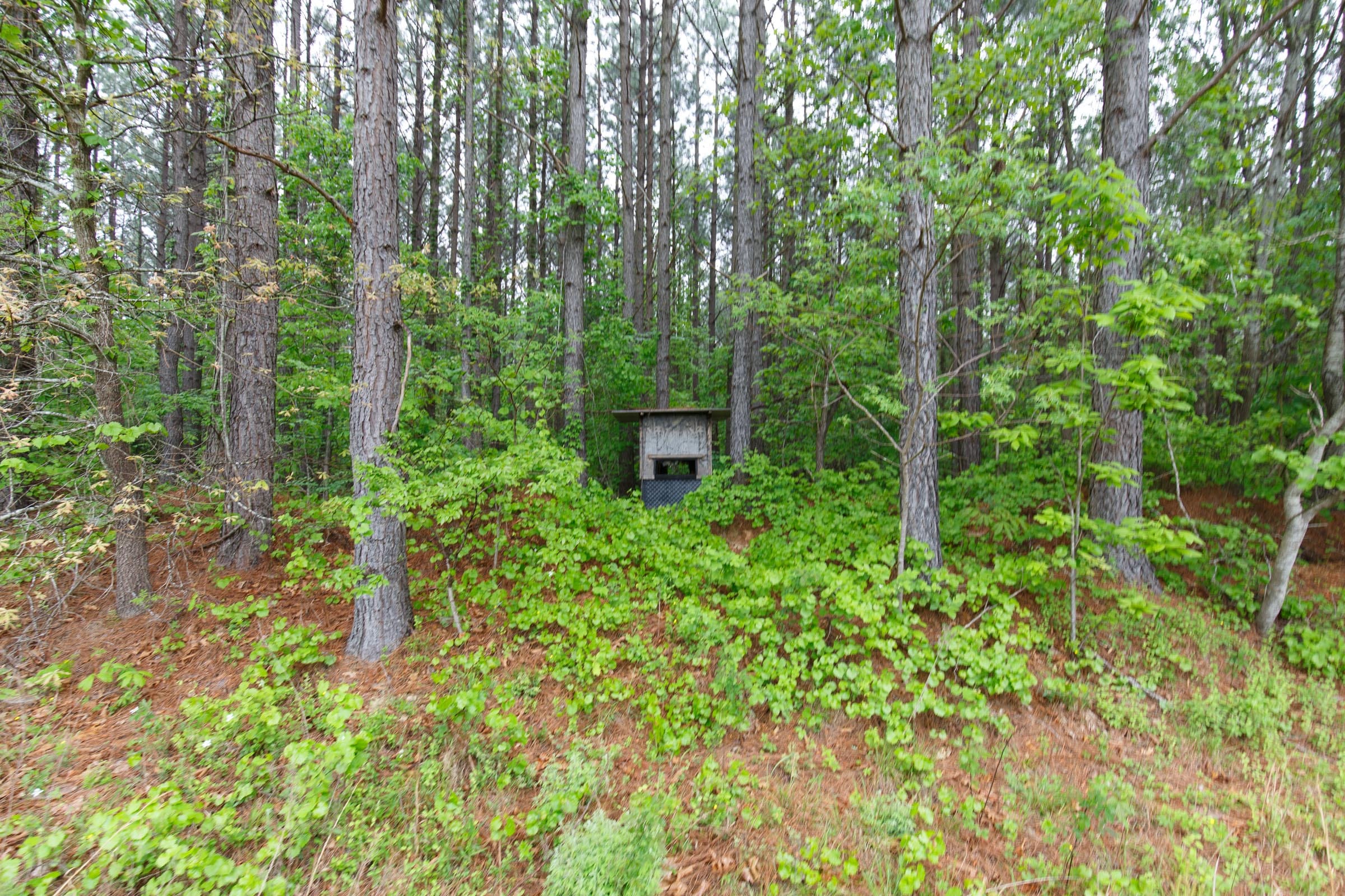 Red Barn Ranch Tract 18 photo 11