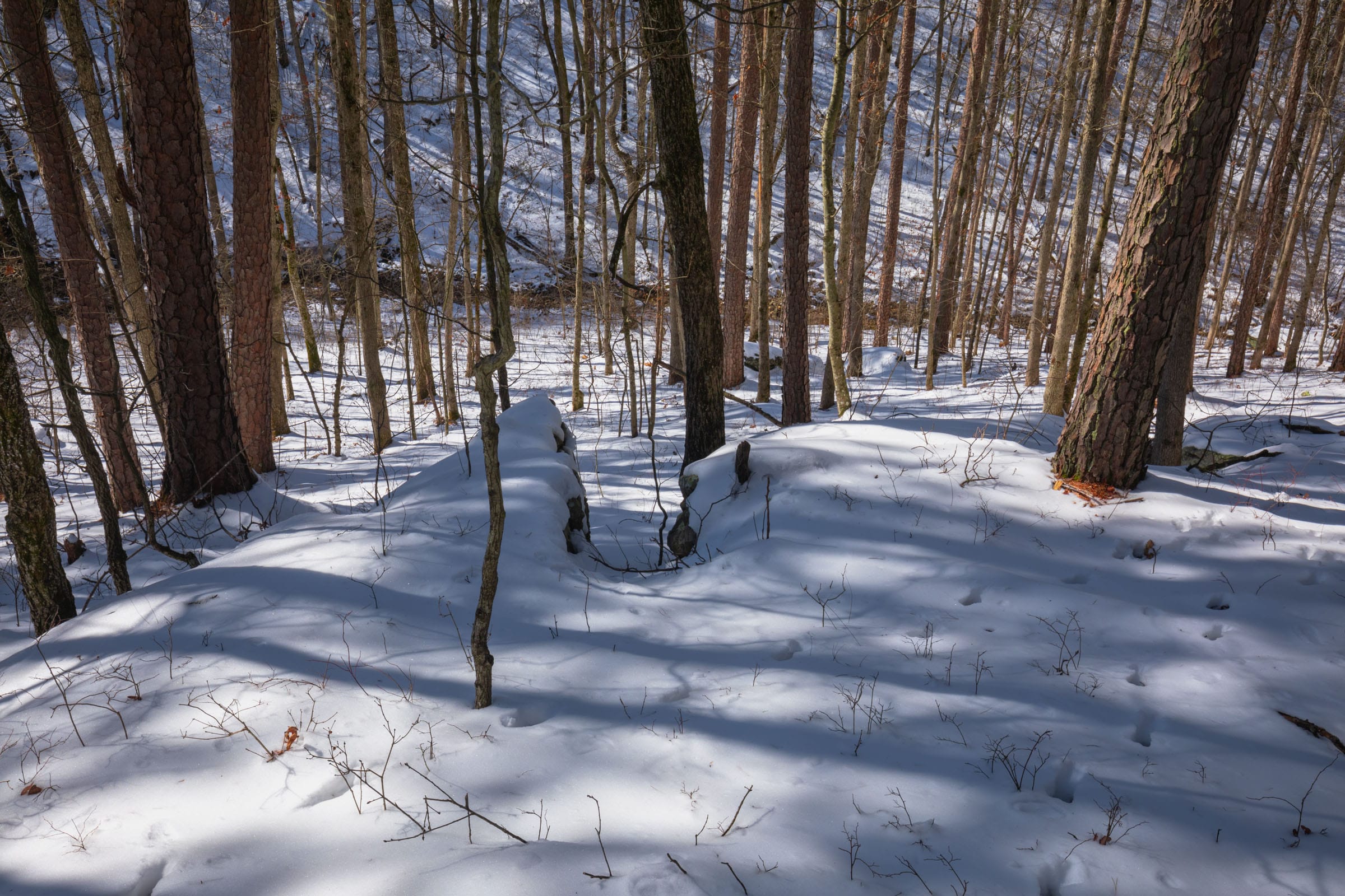 Sleepy Hollow Phase I Tract 45 photo 1