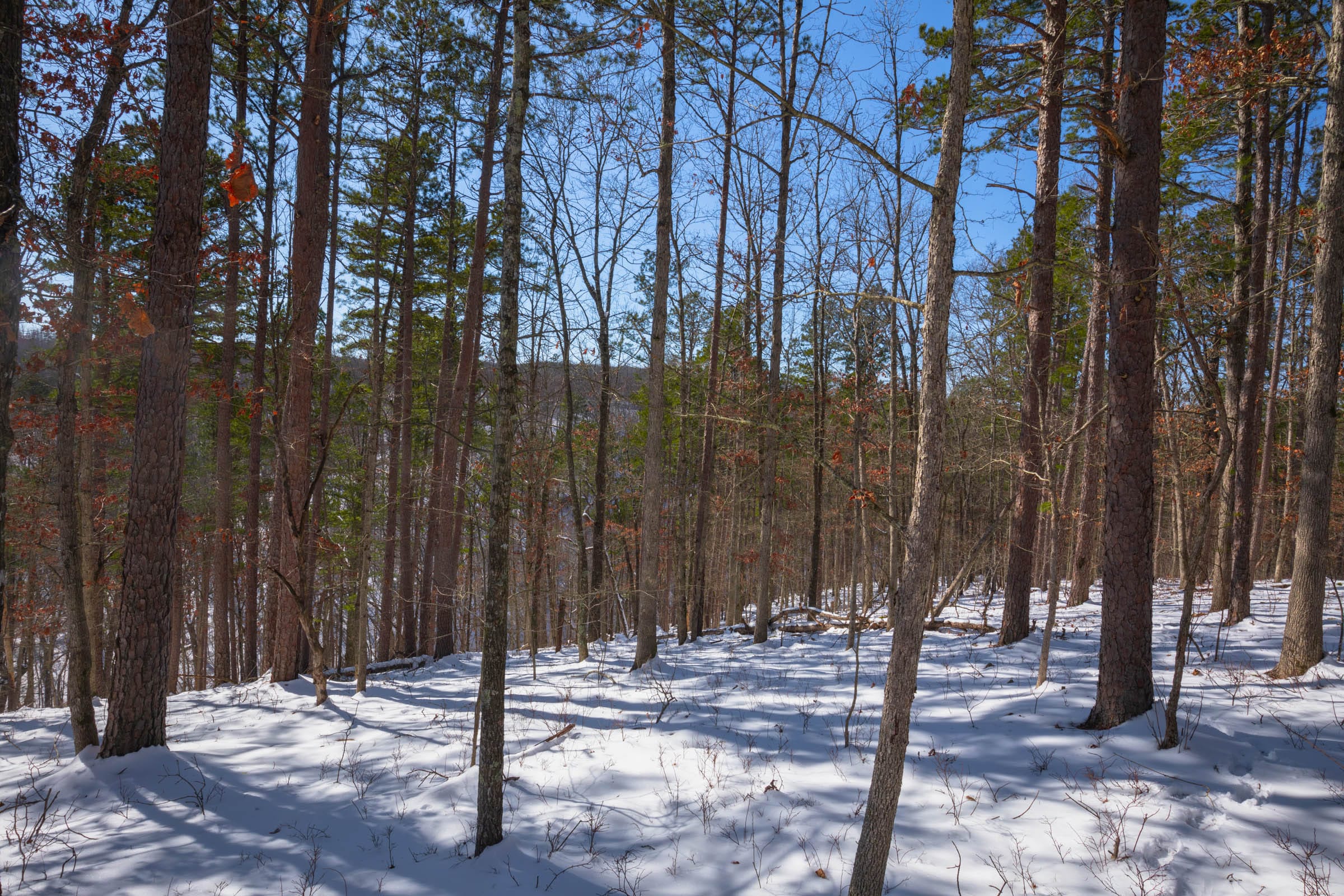 Sleepy Hollow Phase I Tract 45 photo 10