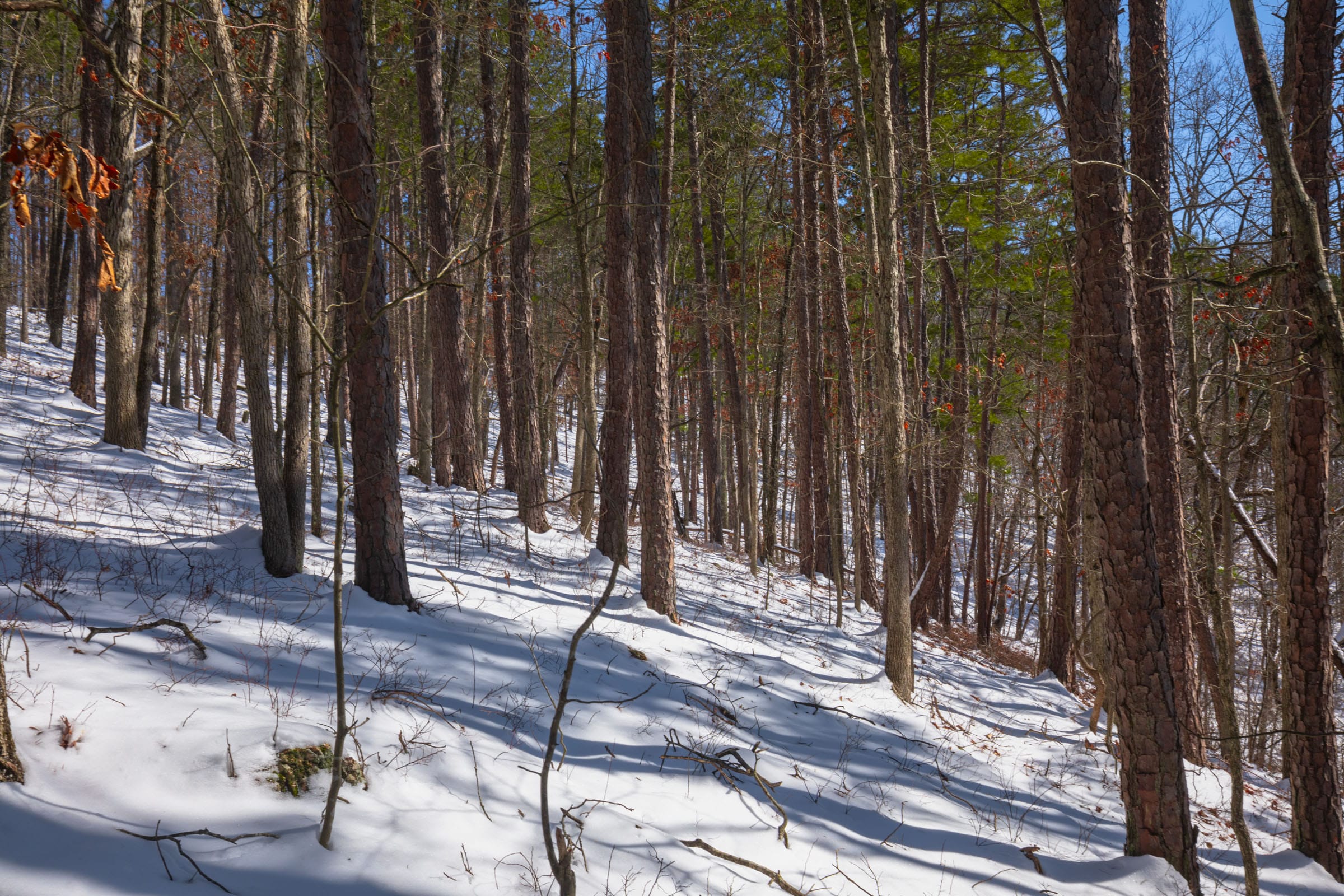 Sleepy Hollow Phase I Tract 45 photo 6