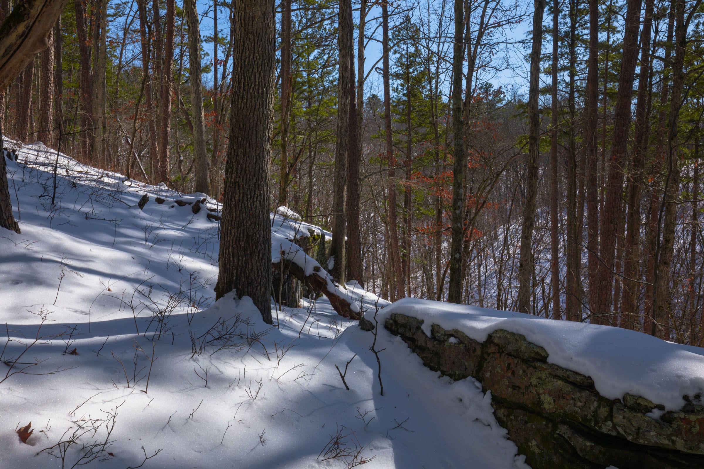 Sleepy Hollow Phase I Tract 45 photo 5