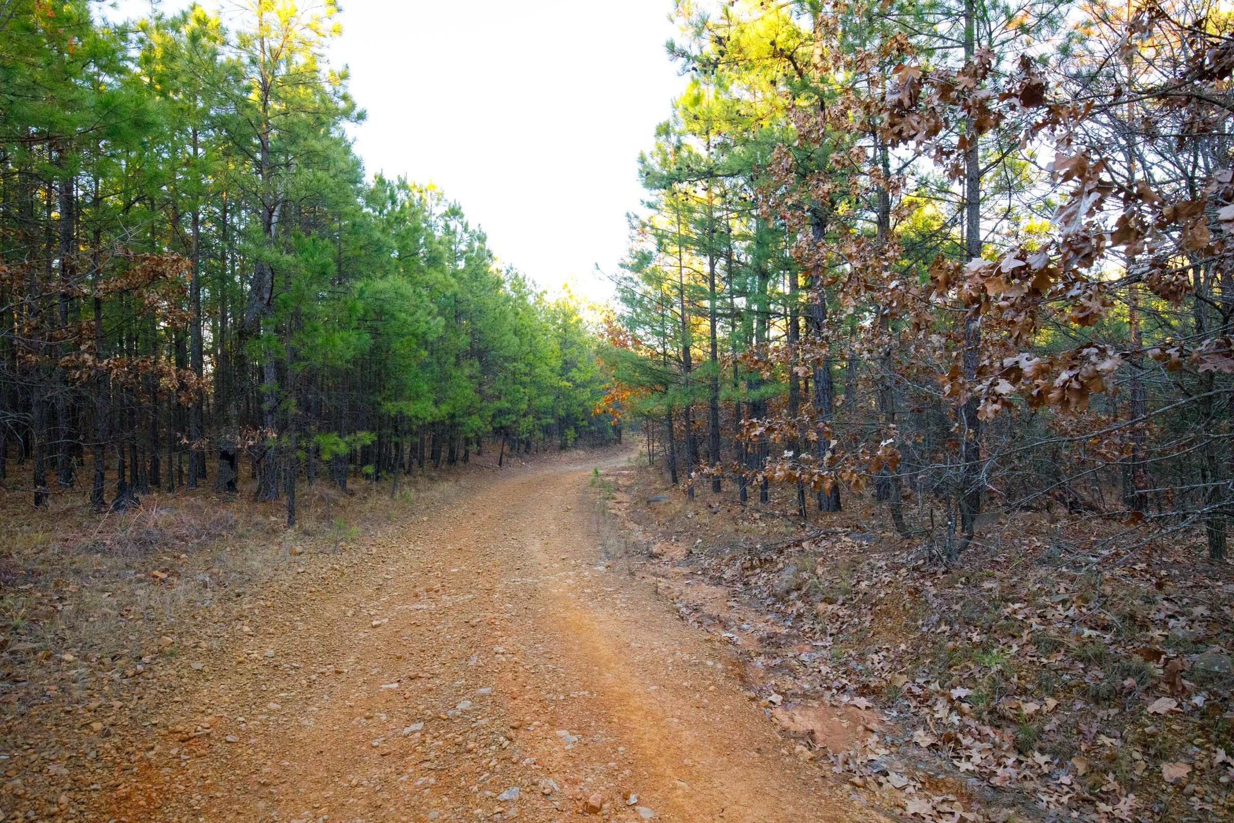 Stone Bridge Phase II Tract 118 photo 1