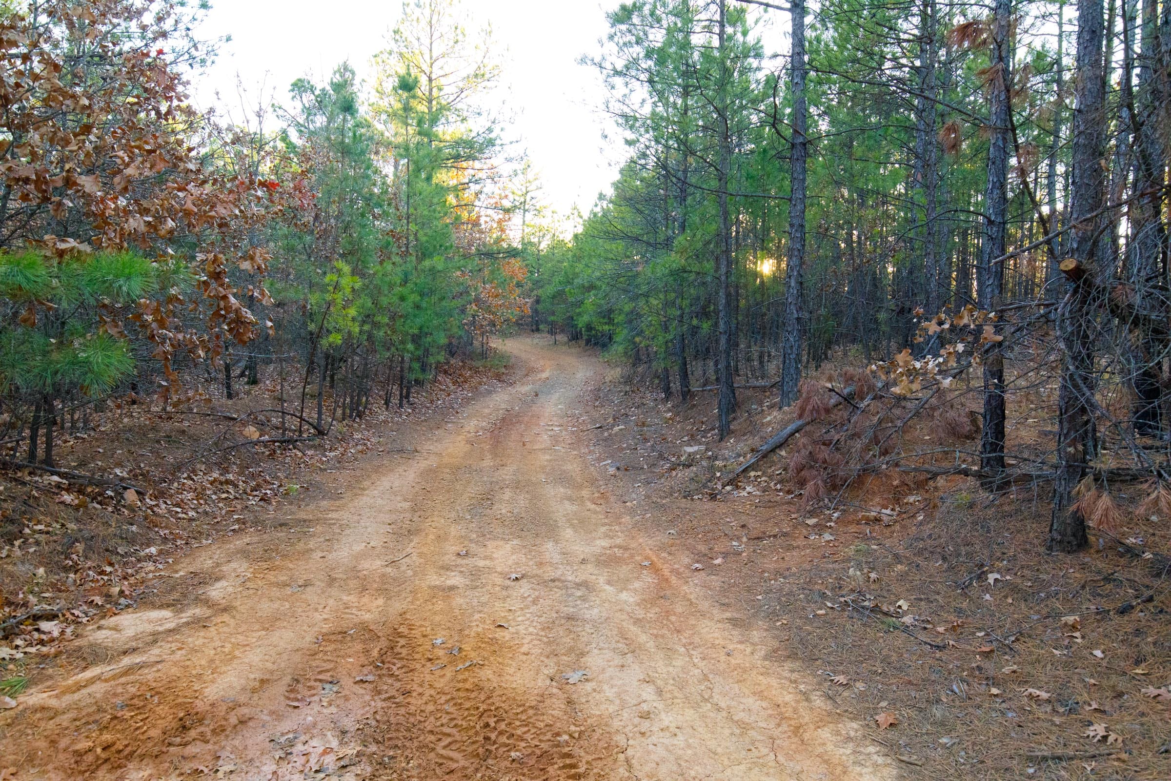 Stone Bridge Phase II Tract 118 photo 5