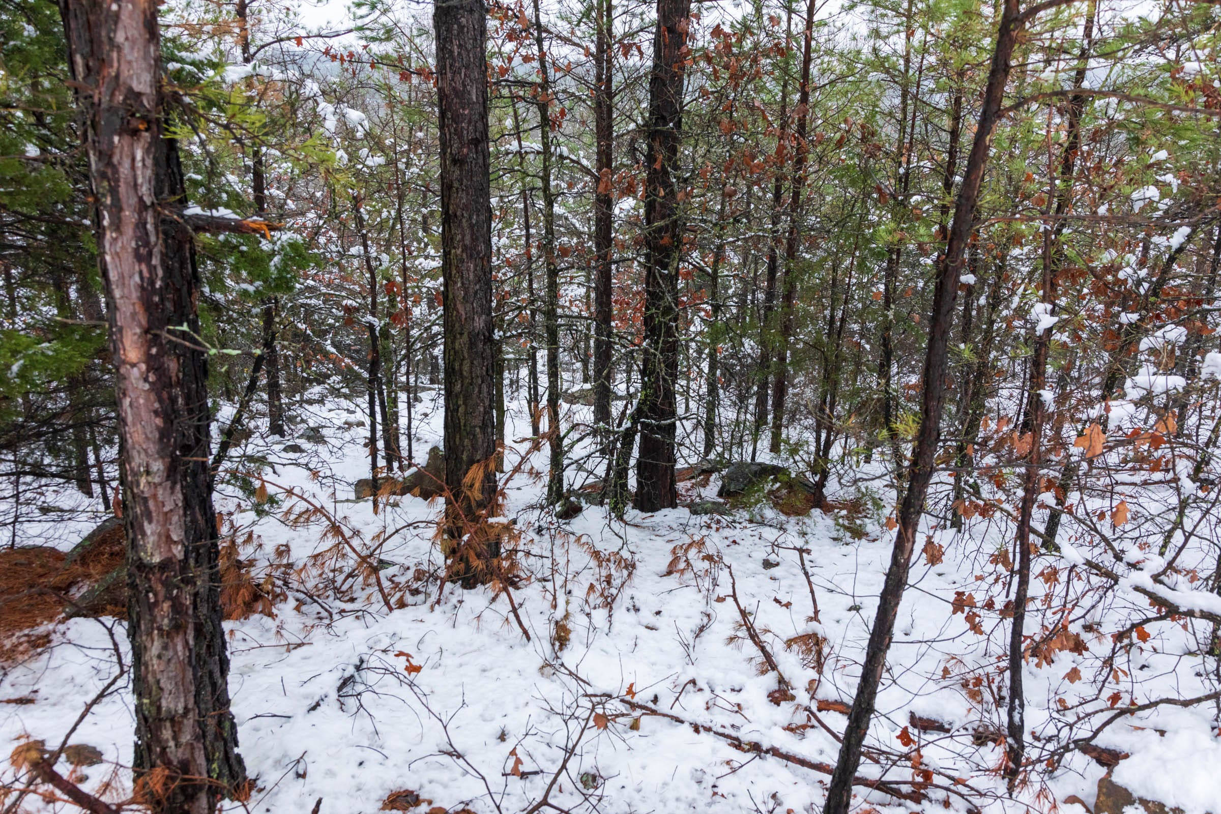 Stone Bridge Phase IV Tract 225 photo 9
