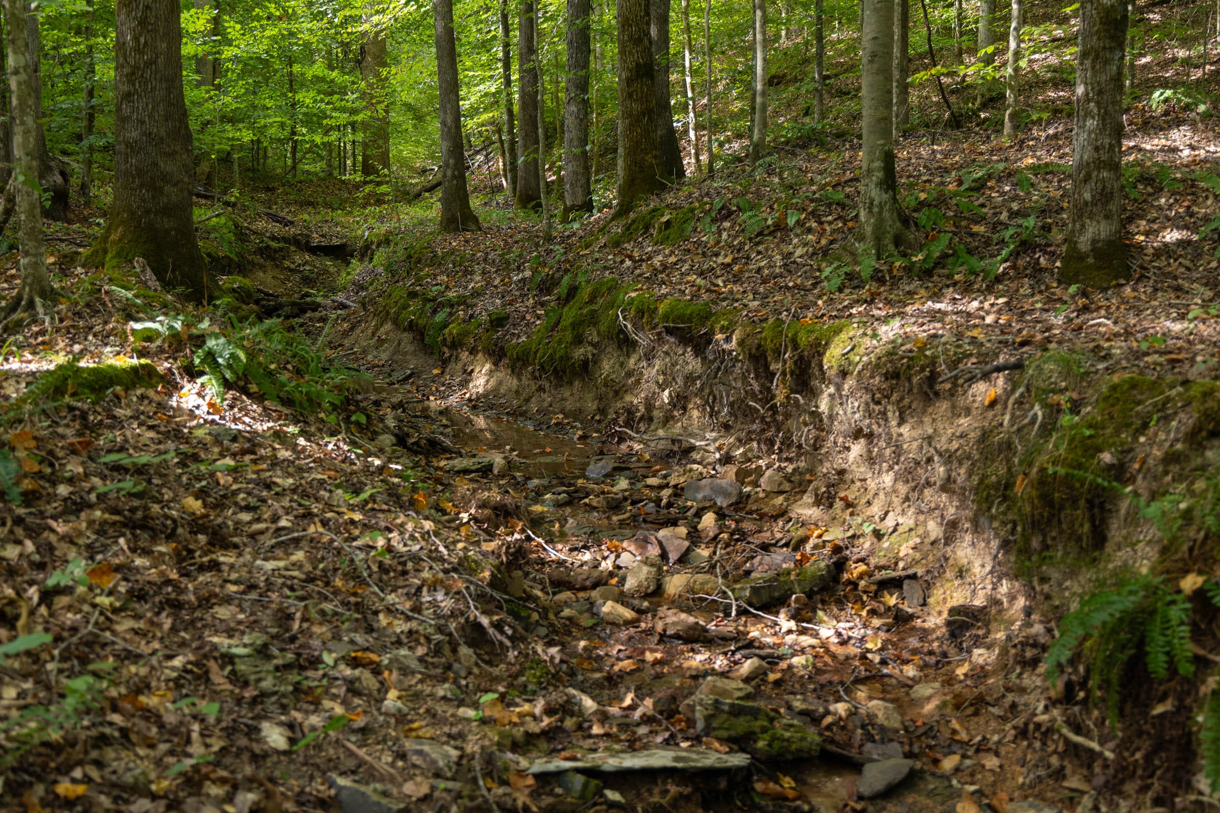 Big White Oak Tract 149 photo 17