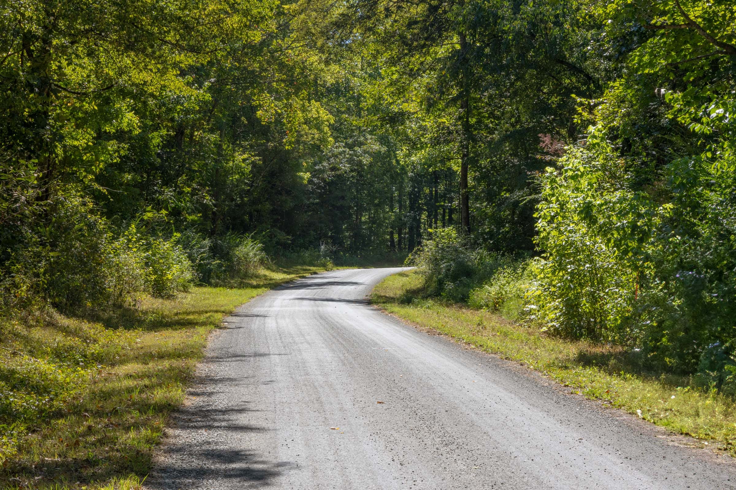 Big White Oak Tract 18 photo 8