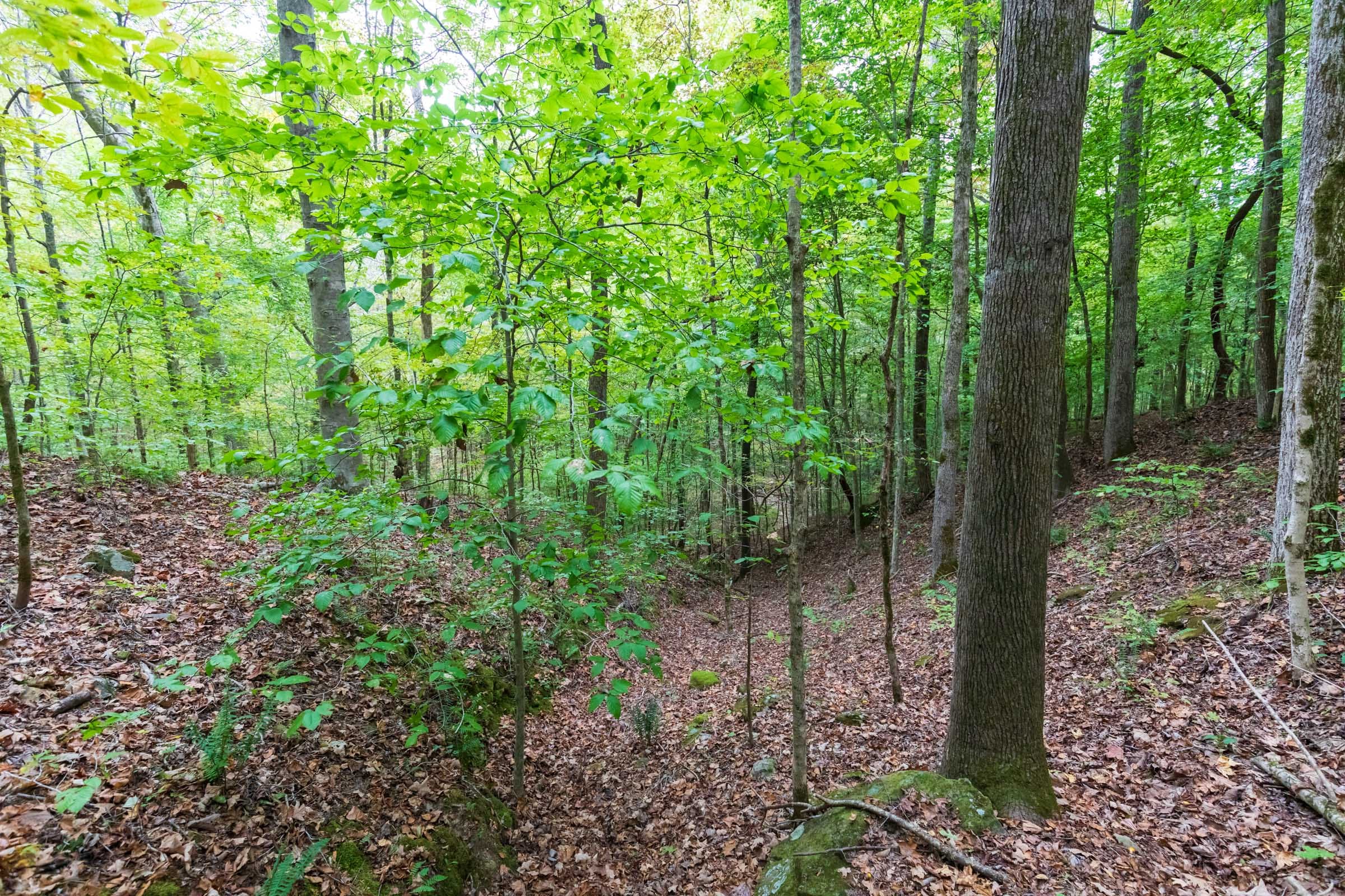 Copper Ridge Tract 2 photo 2
