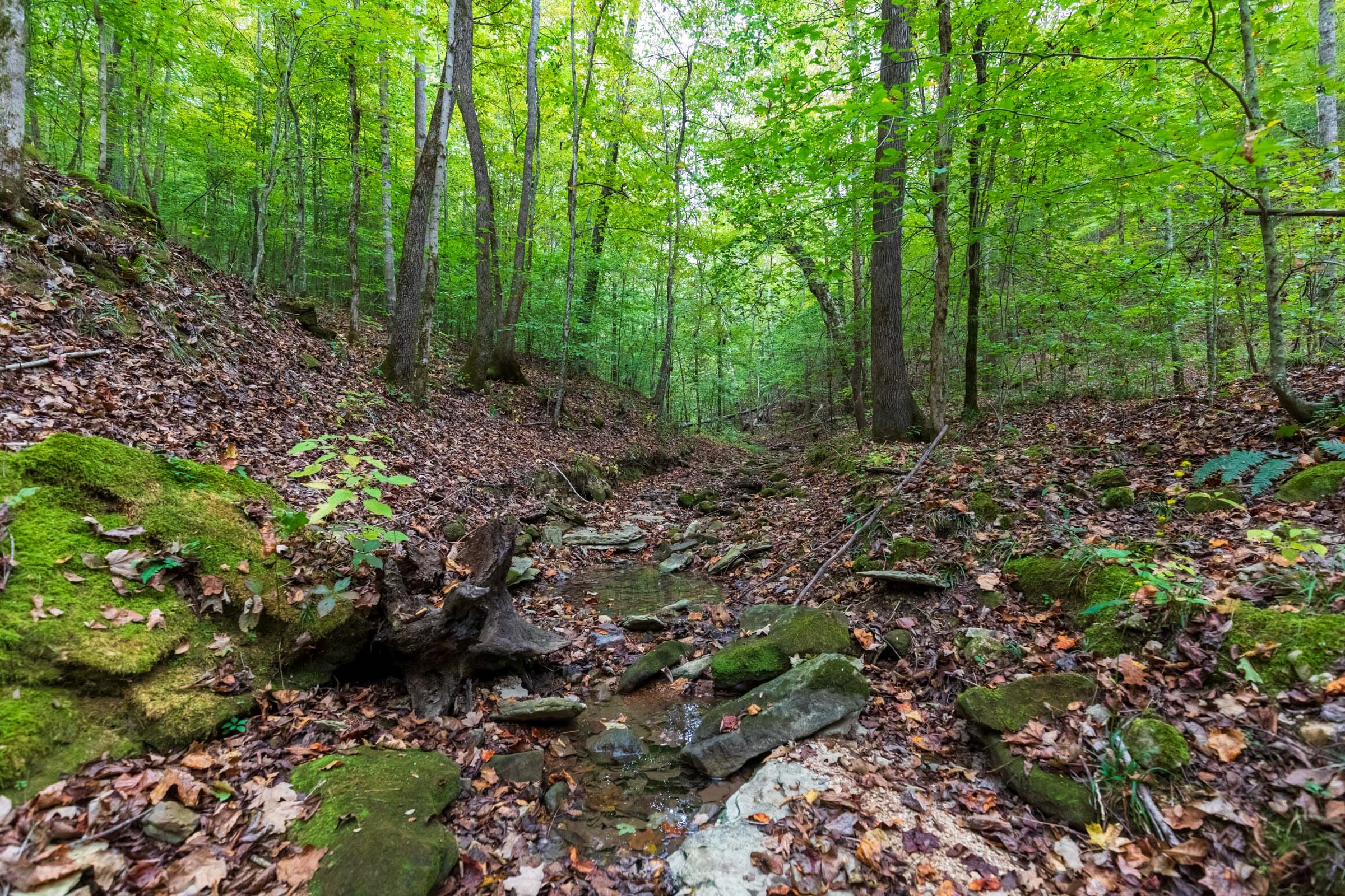 Copper Ridge Tract 2 photo 5