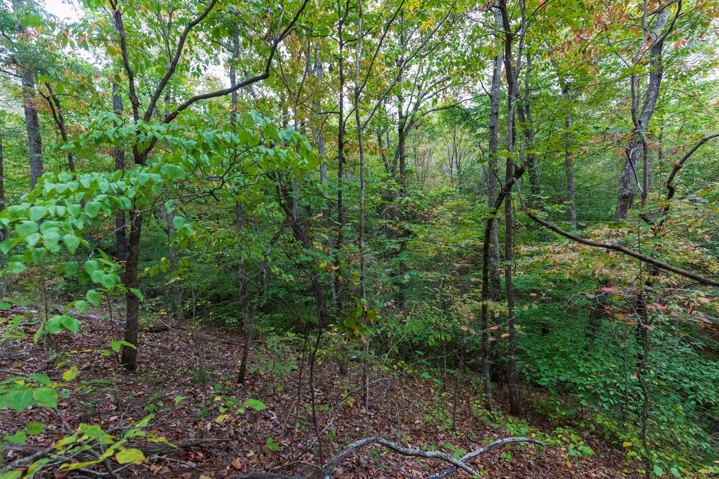 Copper Ridge Tract 2 photo 15