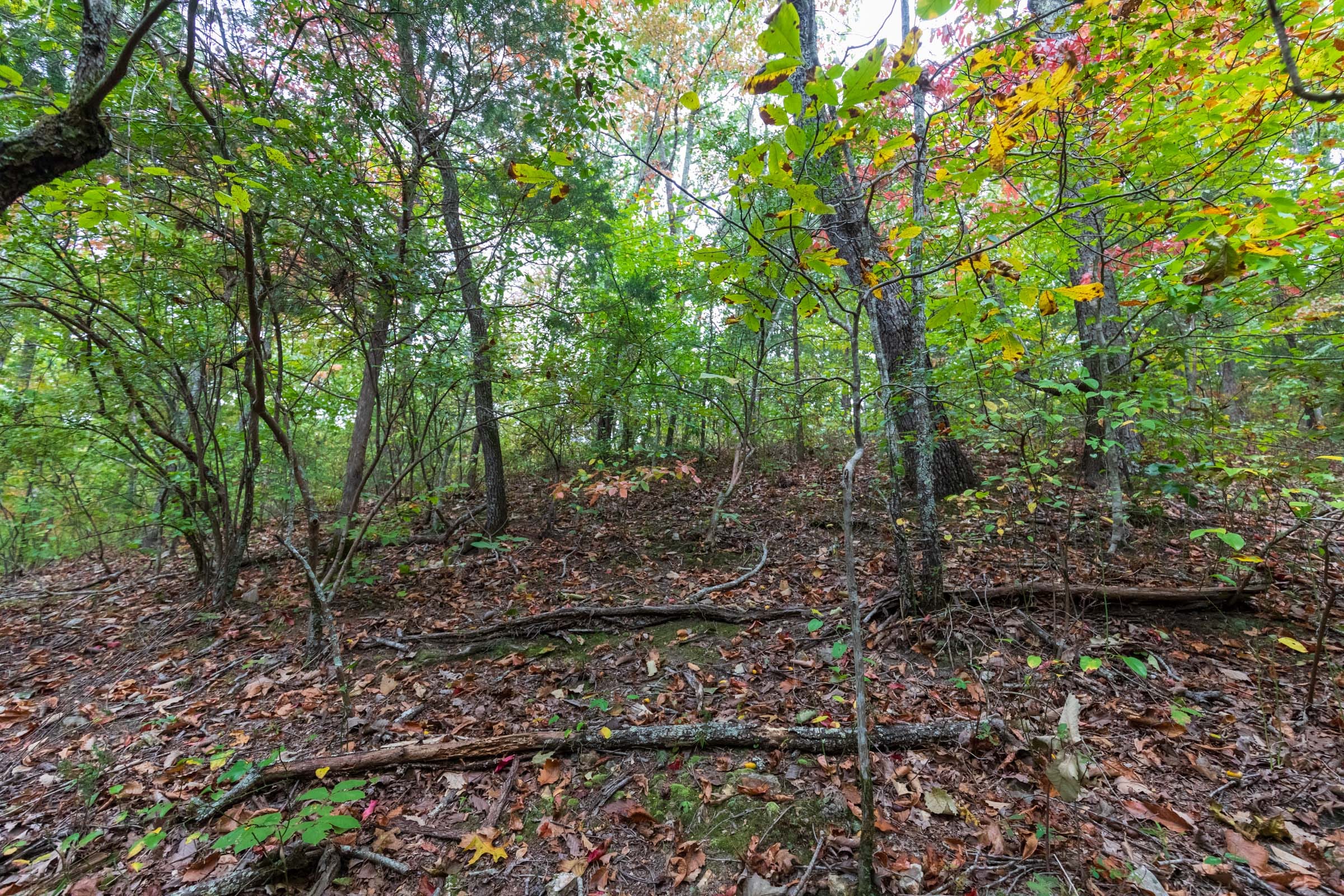 Copper Ridge Tract 2 photo 14