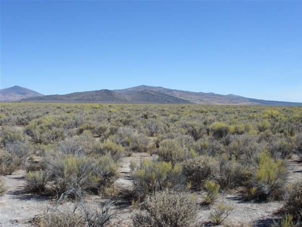 California Pines Tract 94 photo 2