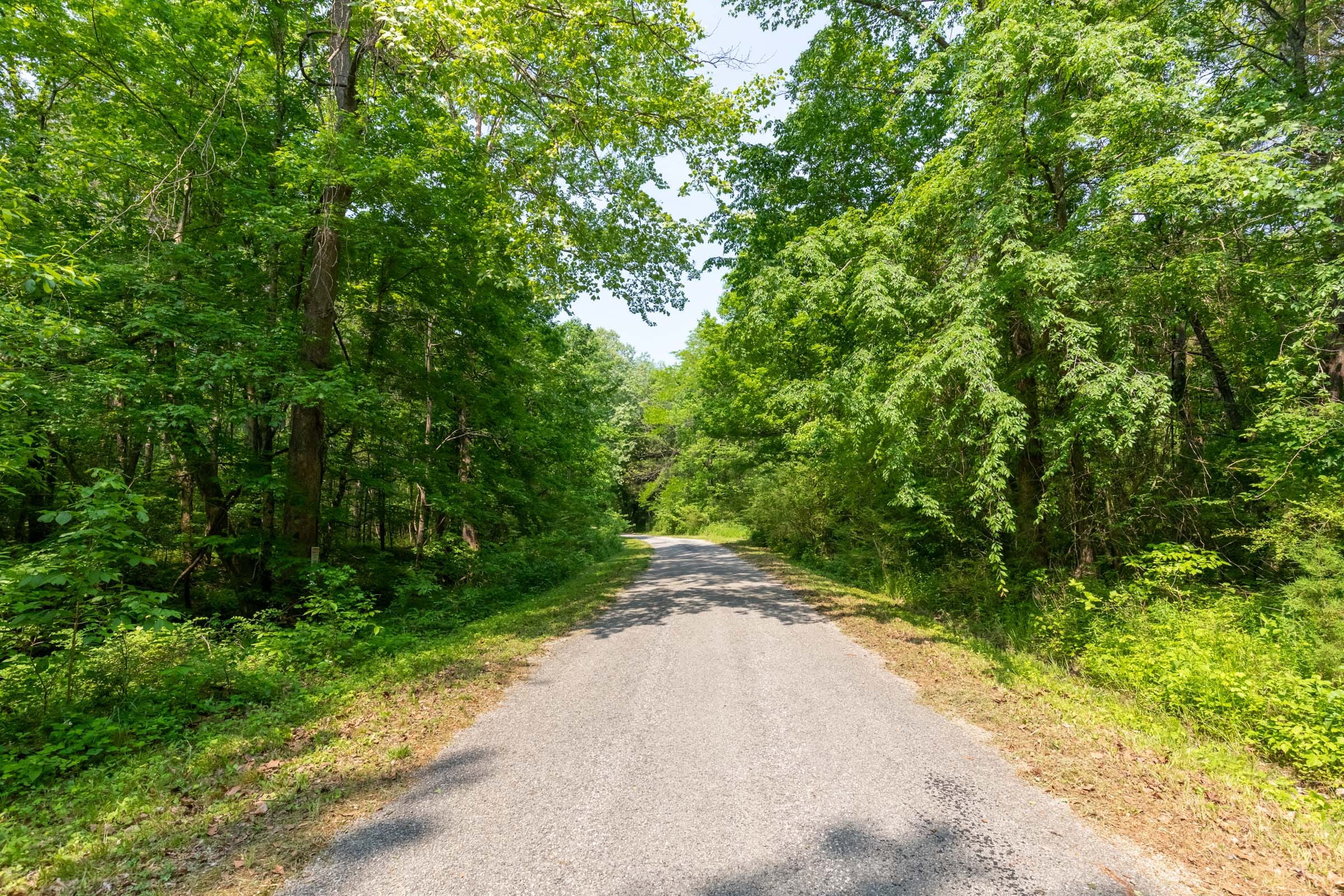 Cedar Creek Tract 45 photo 8