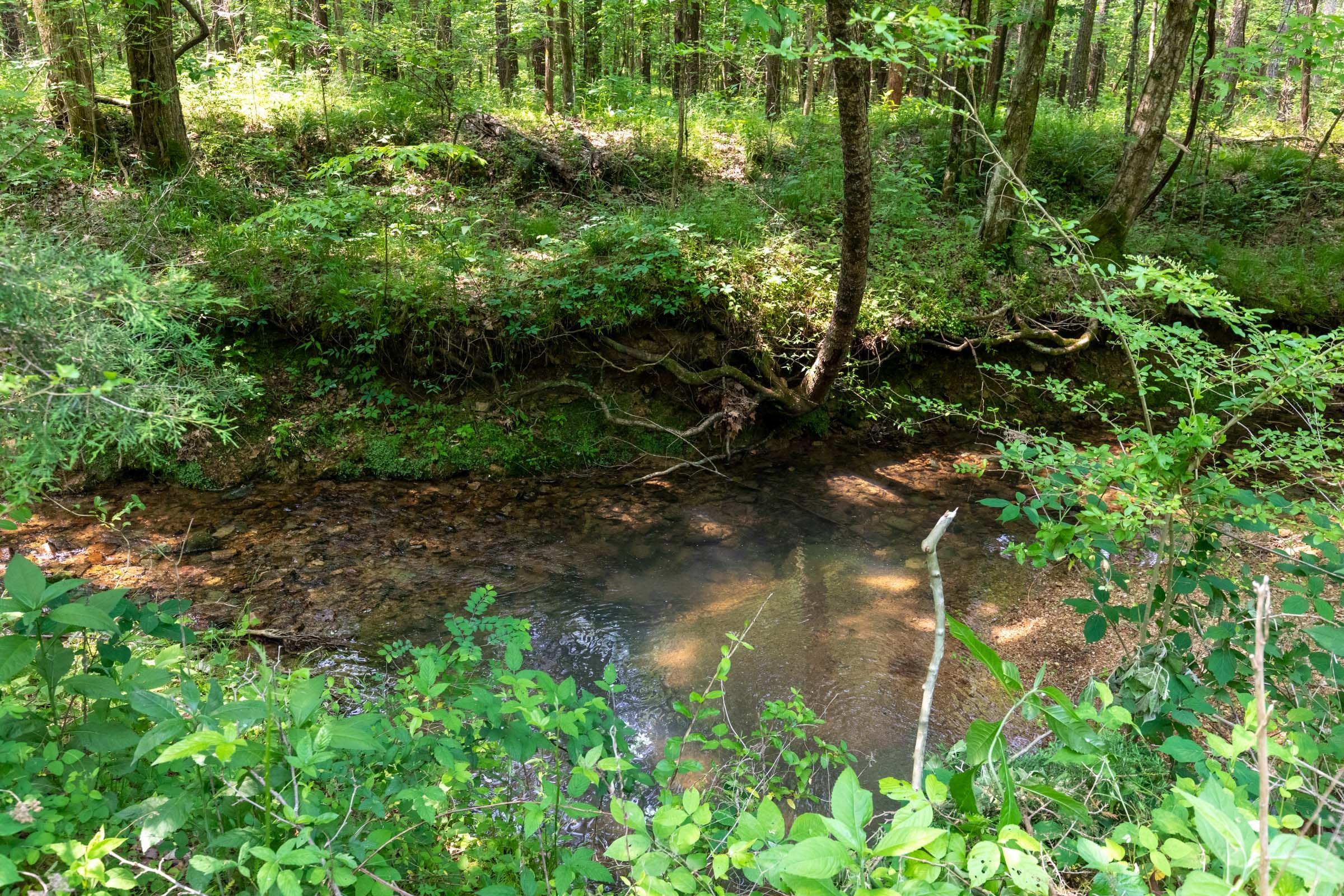 Cedar Creek Tract 45 photo 2