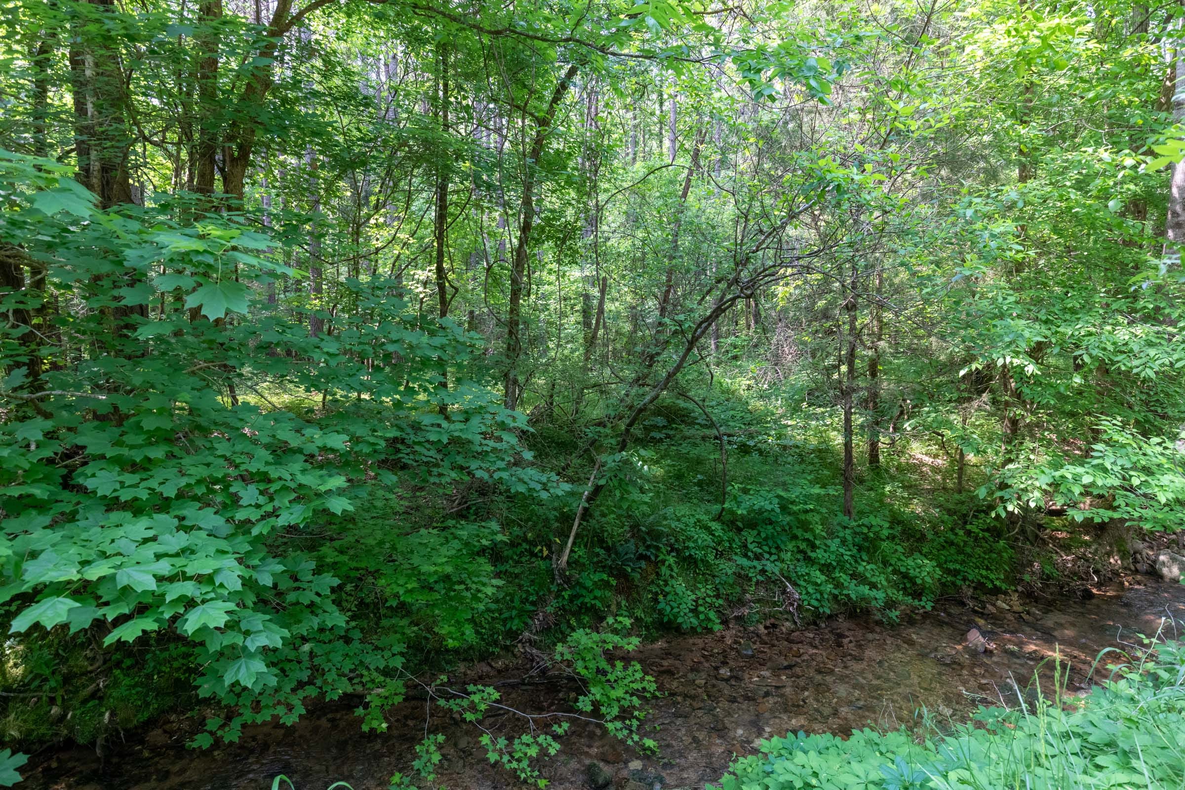 Cedar Creek Tract 45 photo 3