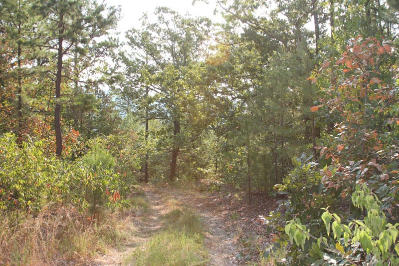 Trophy Ridge Phase I Tract 43 photo 1