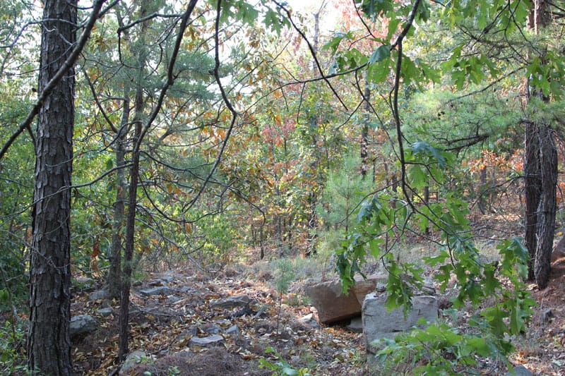 Trophy Ridge Phase I Tract 43 photo 4