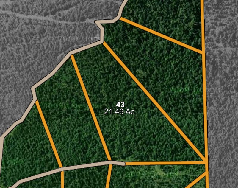 Trophy Ridge Phase I Tract 43 photo 7