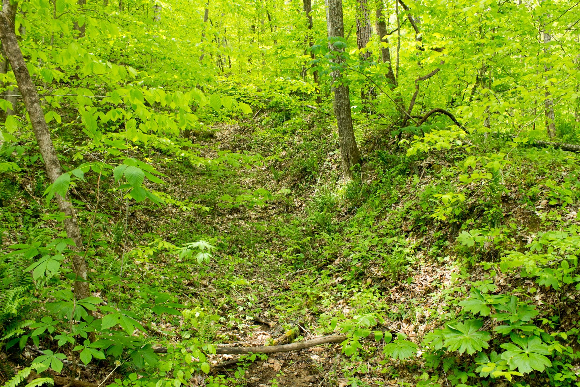 Trails End Tract 16 photo 1