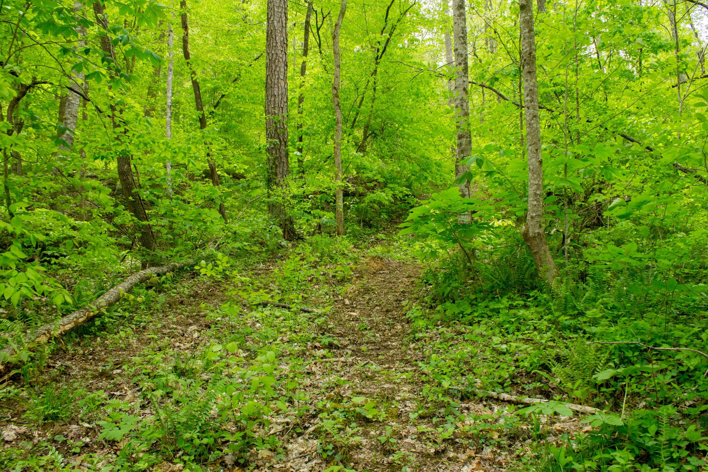Trails End Tract 16 photo 4