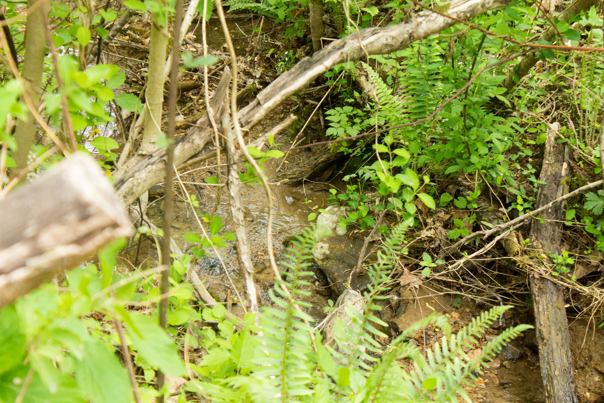Trails End Tract 16 photo 11