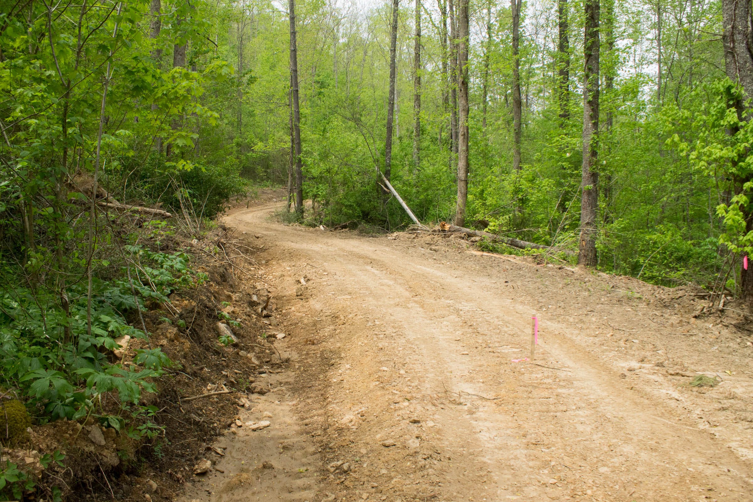Trails End Tract 16 photo 13