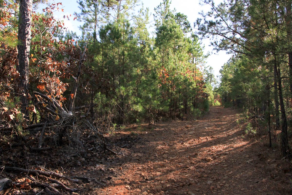 Stone Creek Phase III Tract 6 photo 2