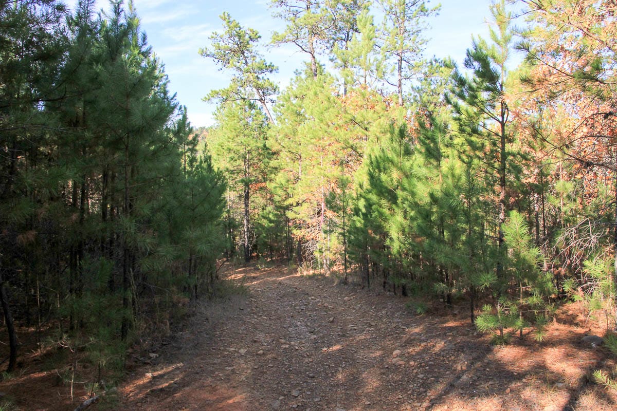 Stone Creek Phase III Tract 6 photo 3