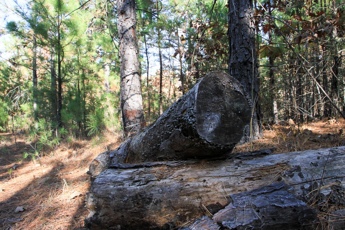 Stone Creek Phase III Tract 6 photo 4