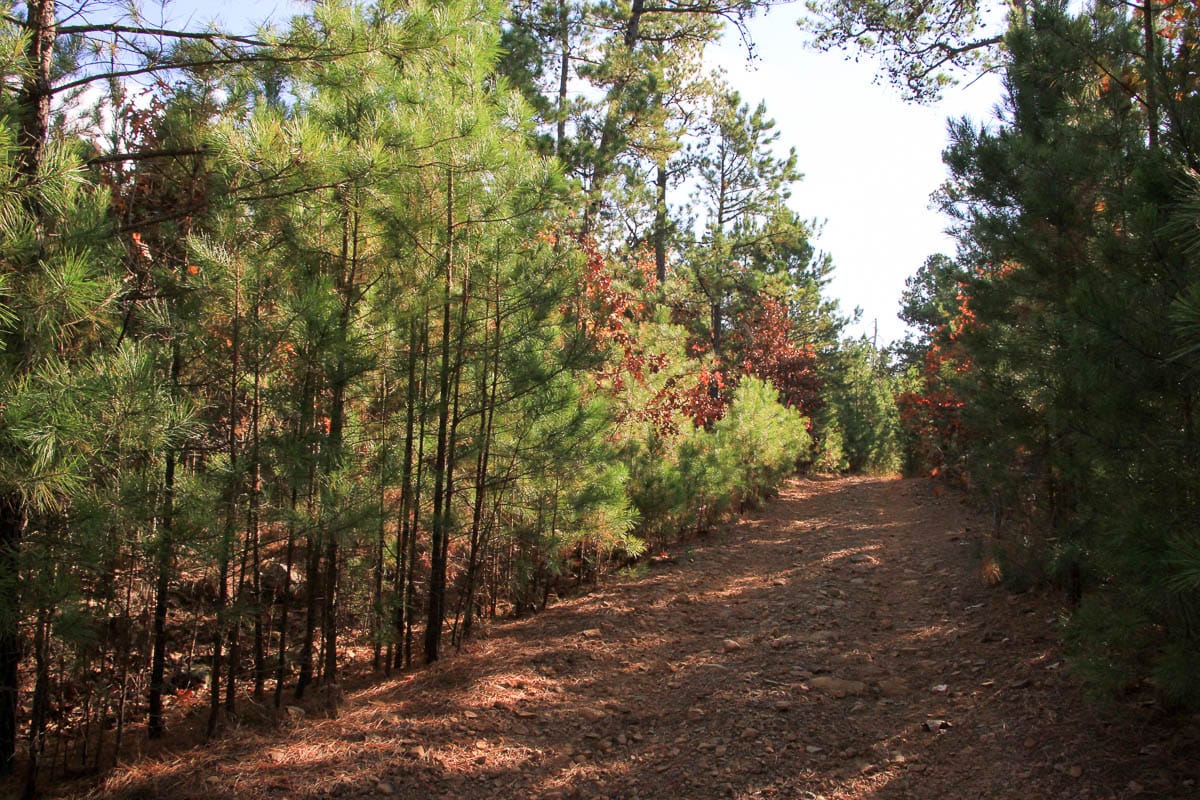 Stone Creek Phase III Tract 6 photo 8