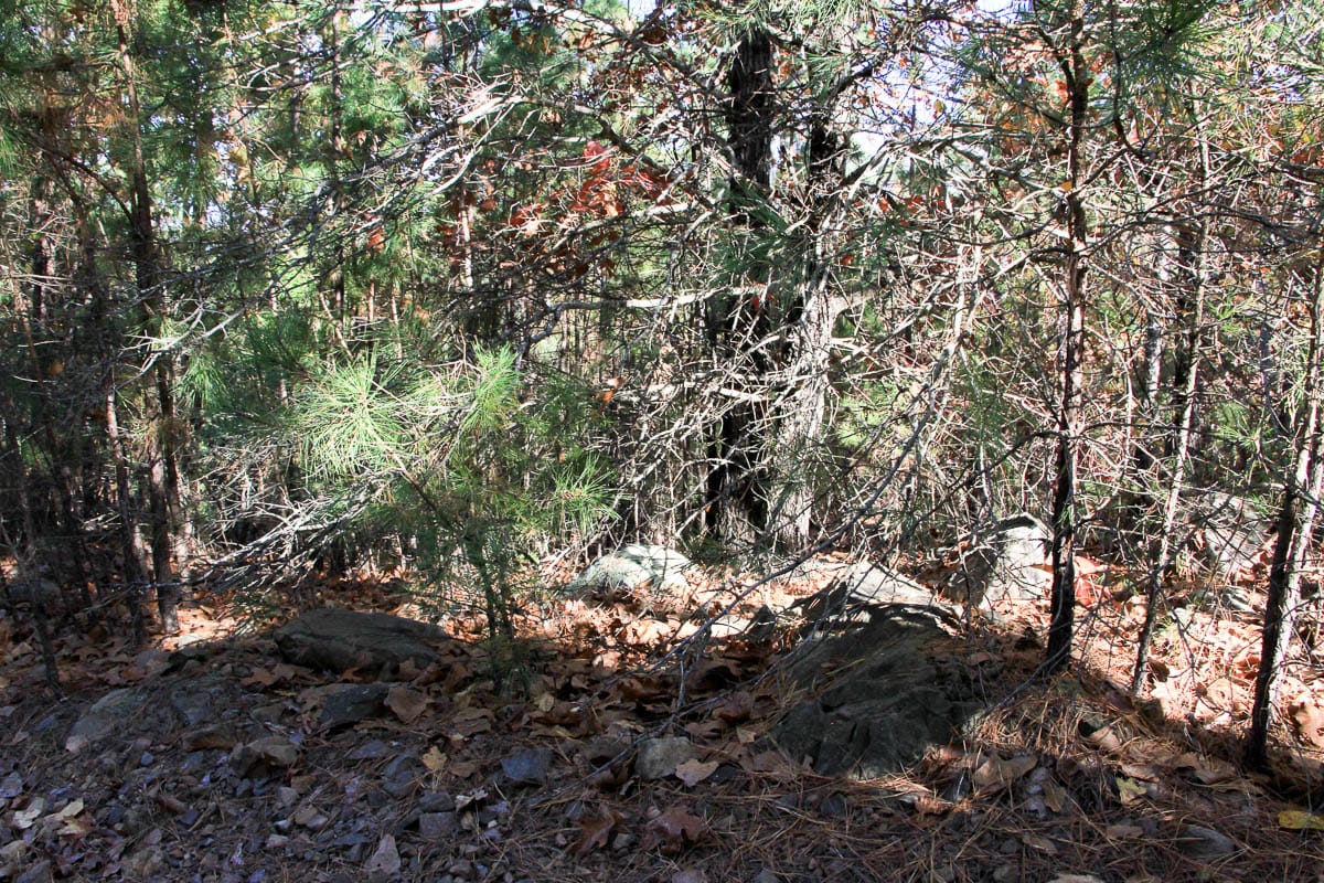 Stone Creek Phase III Tract 6 photo 10