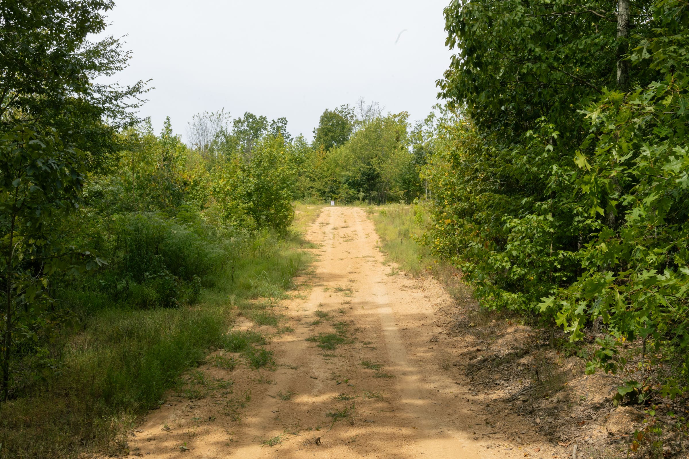 Big White Oak Tract 66 photo 1