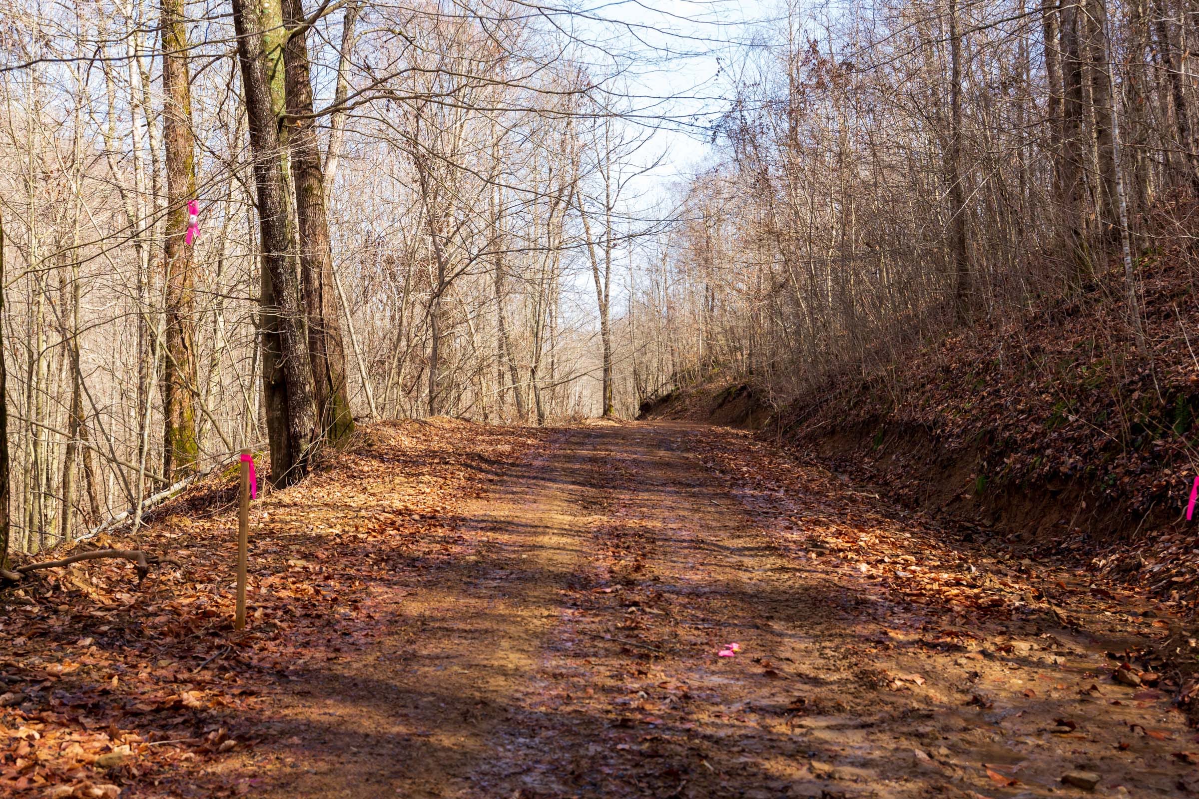 Blackstone Mountain Phase II Tract 70 photo 5