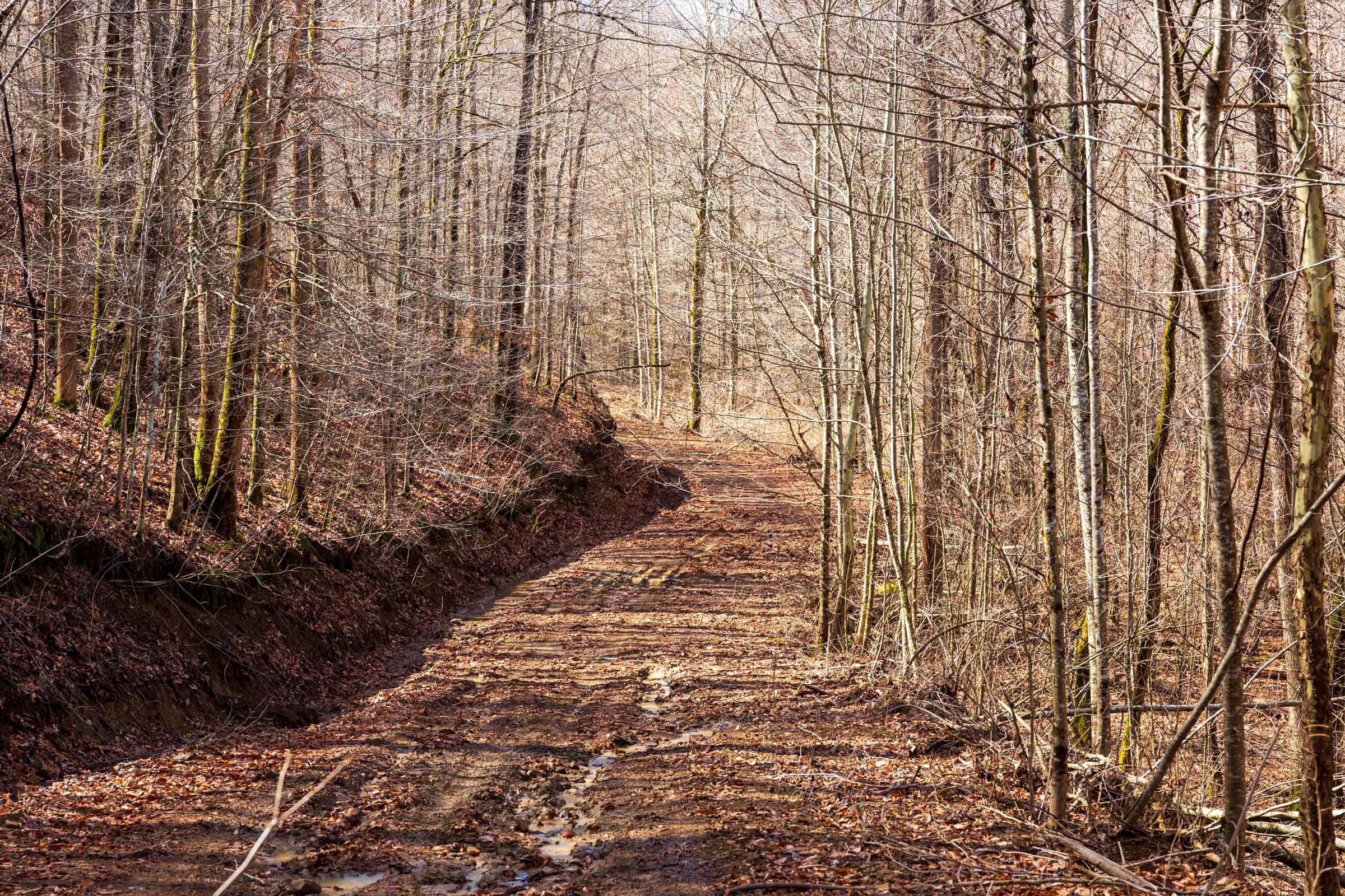 Blackstone Mountain Phase II Tract 70 photo 1