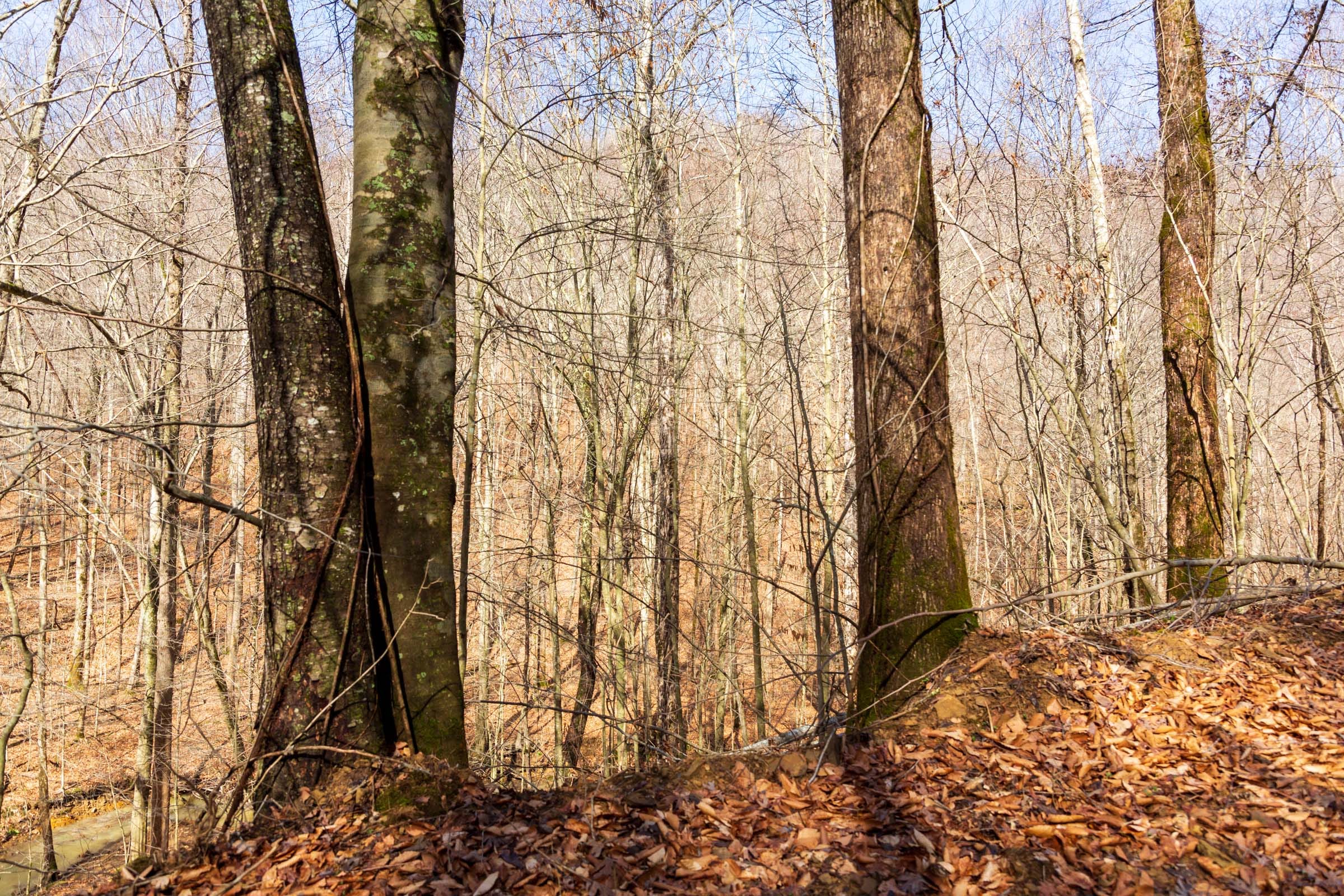 Blackstone Mountain Phase II Tract 70 photo 2