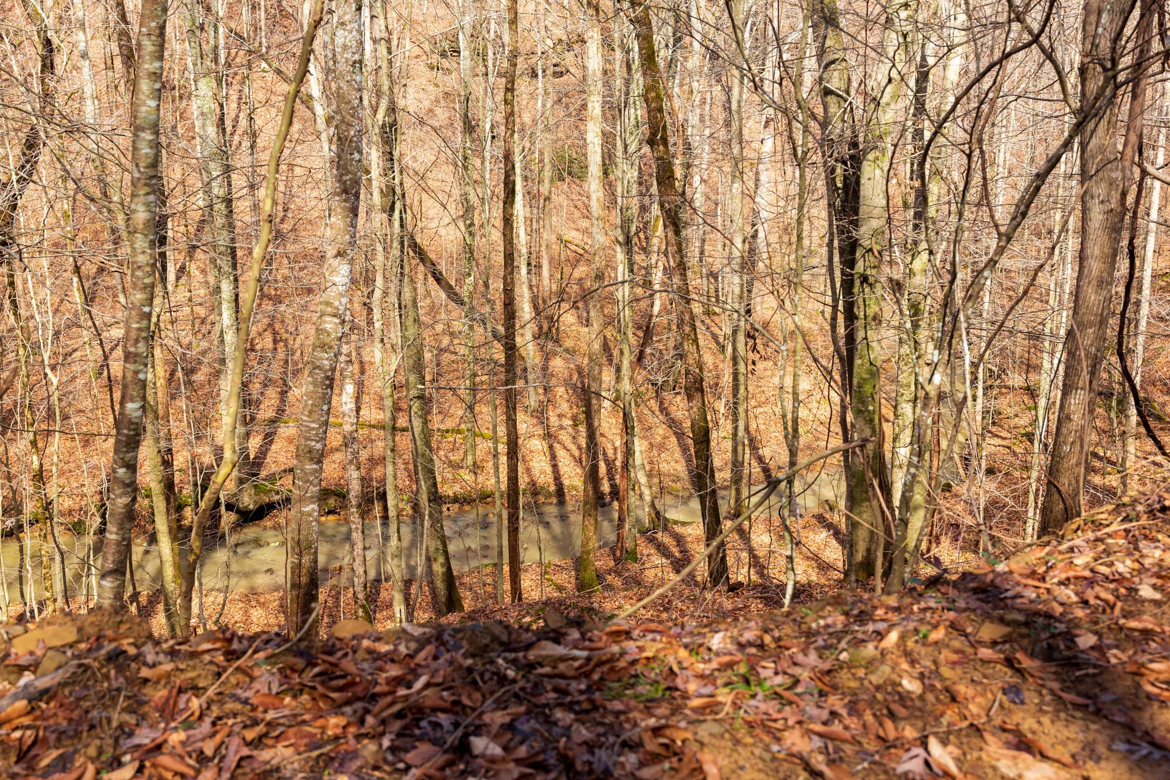 Blackstone Mountain Phase II Tract 70 photo 3