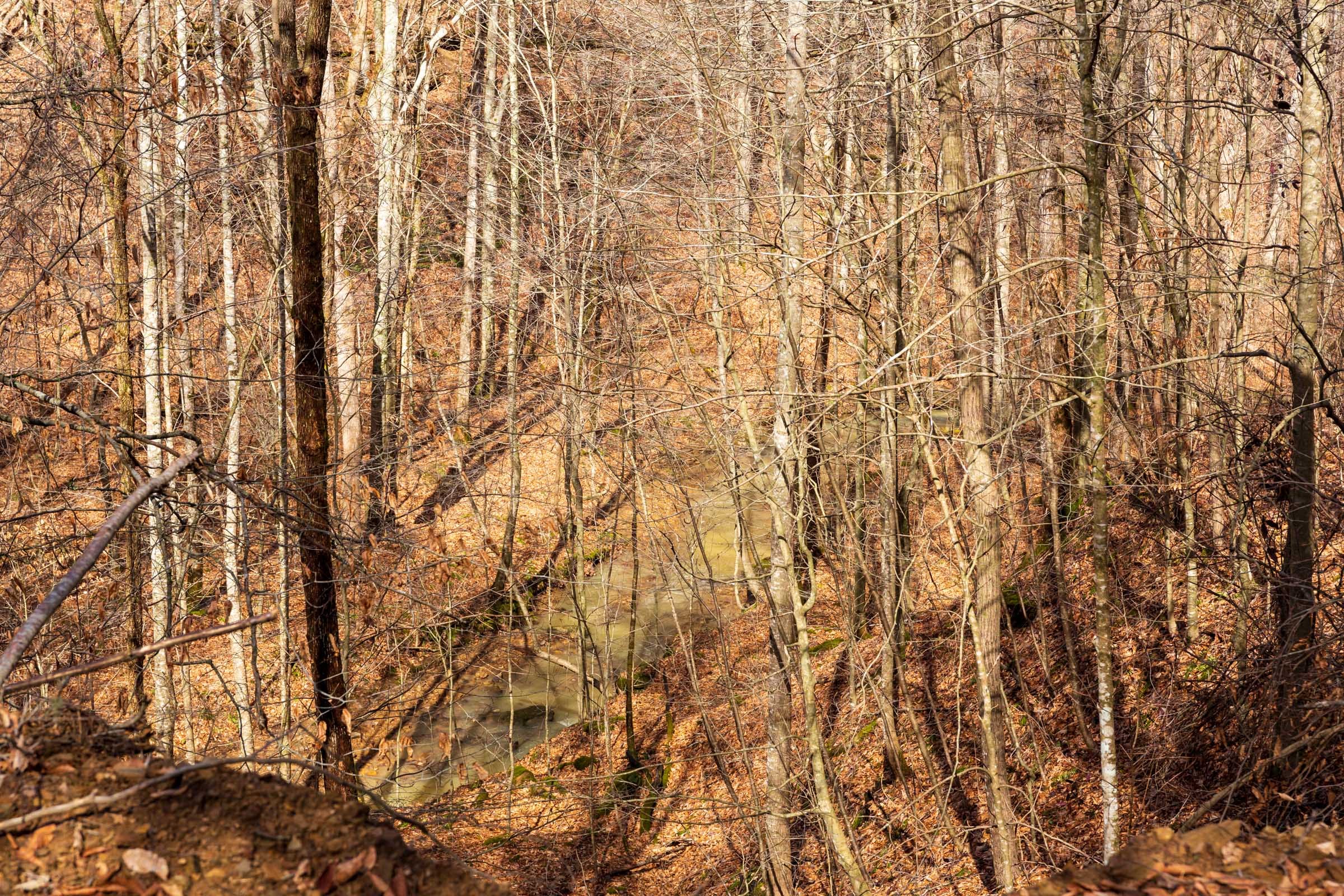 Blackstone Mountain Phase II Tract 70 photo 6