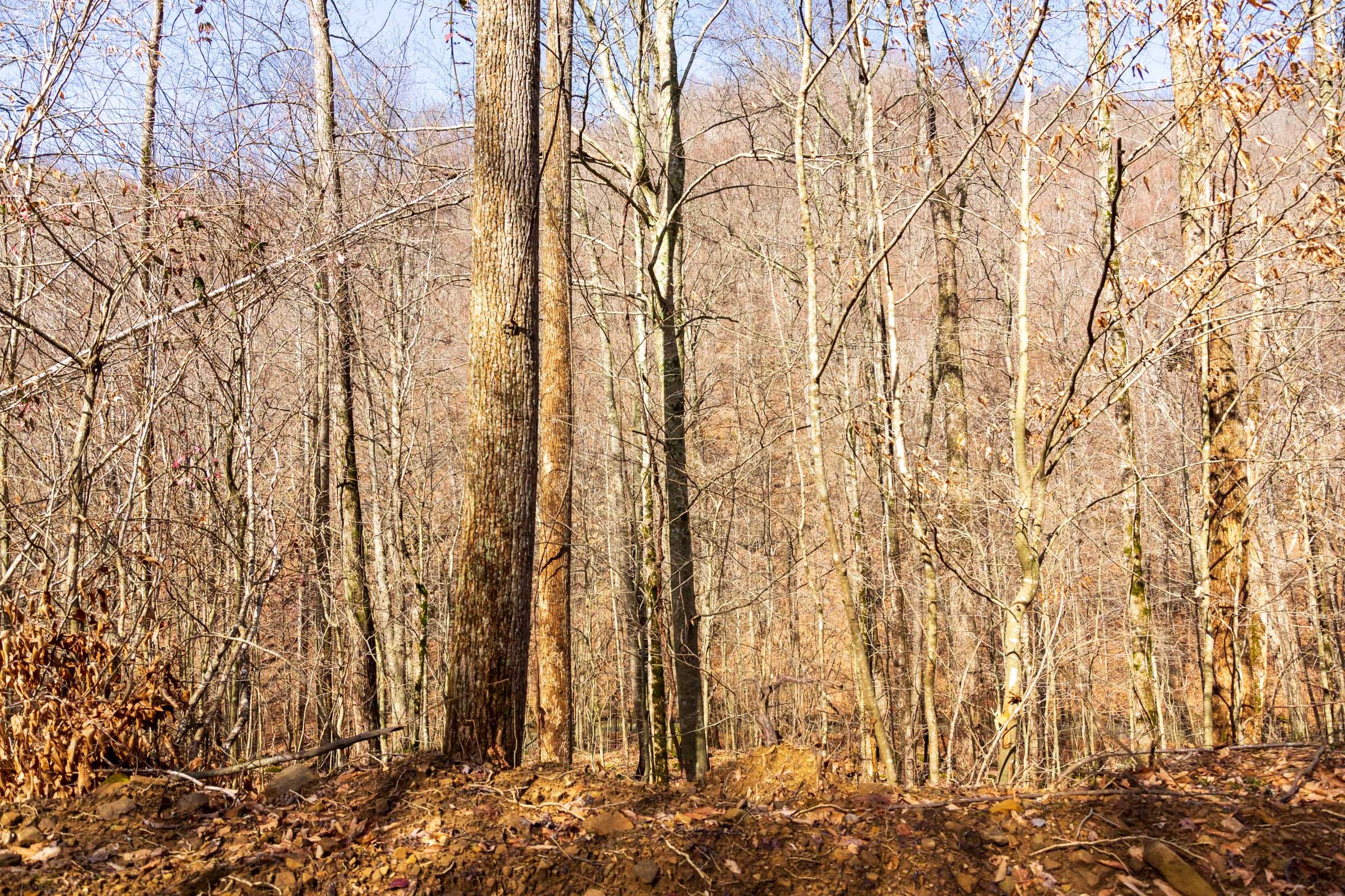 Blackstone Mountain Phase II Tract 70 photo 7