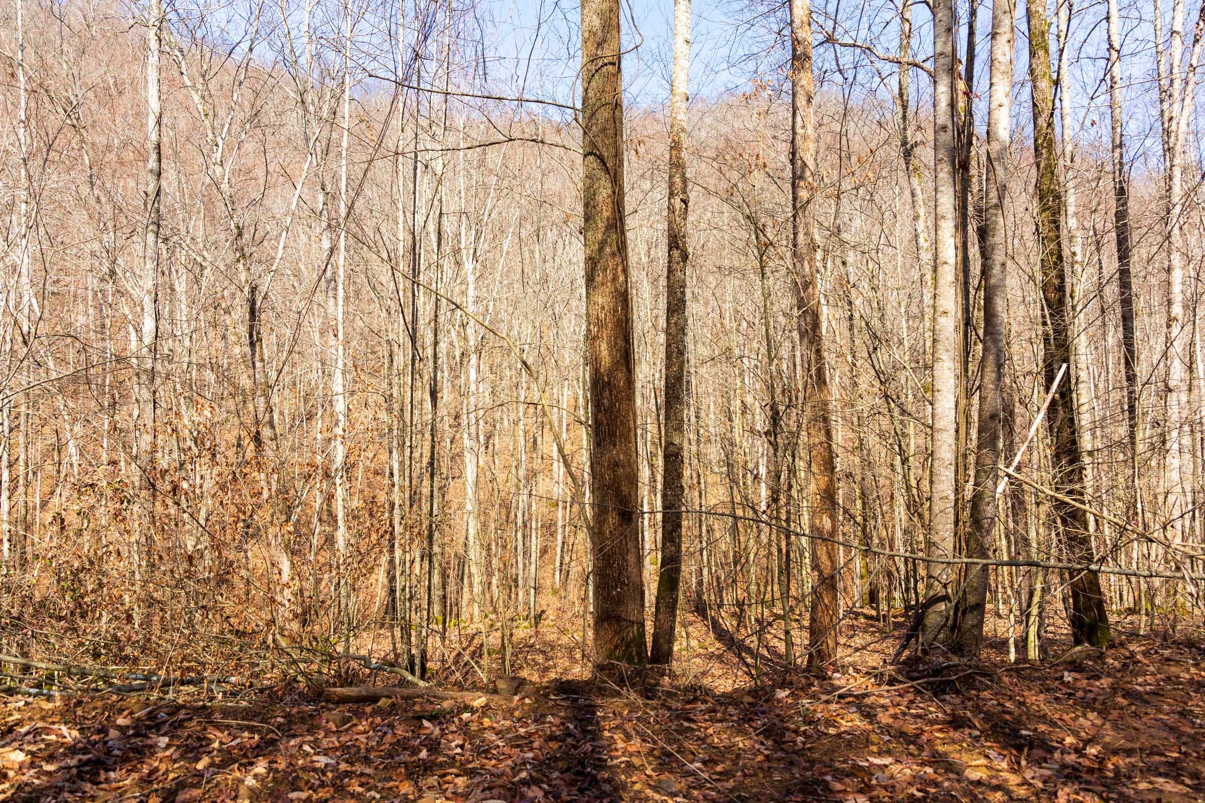 Blackstone Mountain Phase II Tract 70 photo 10