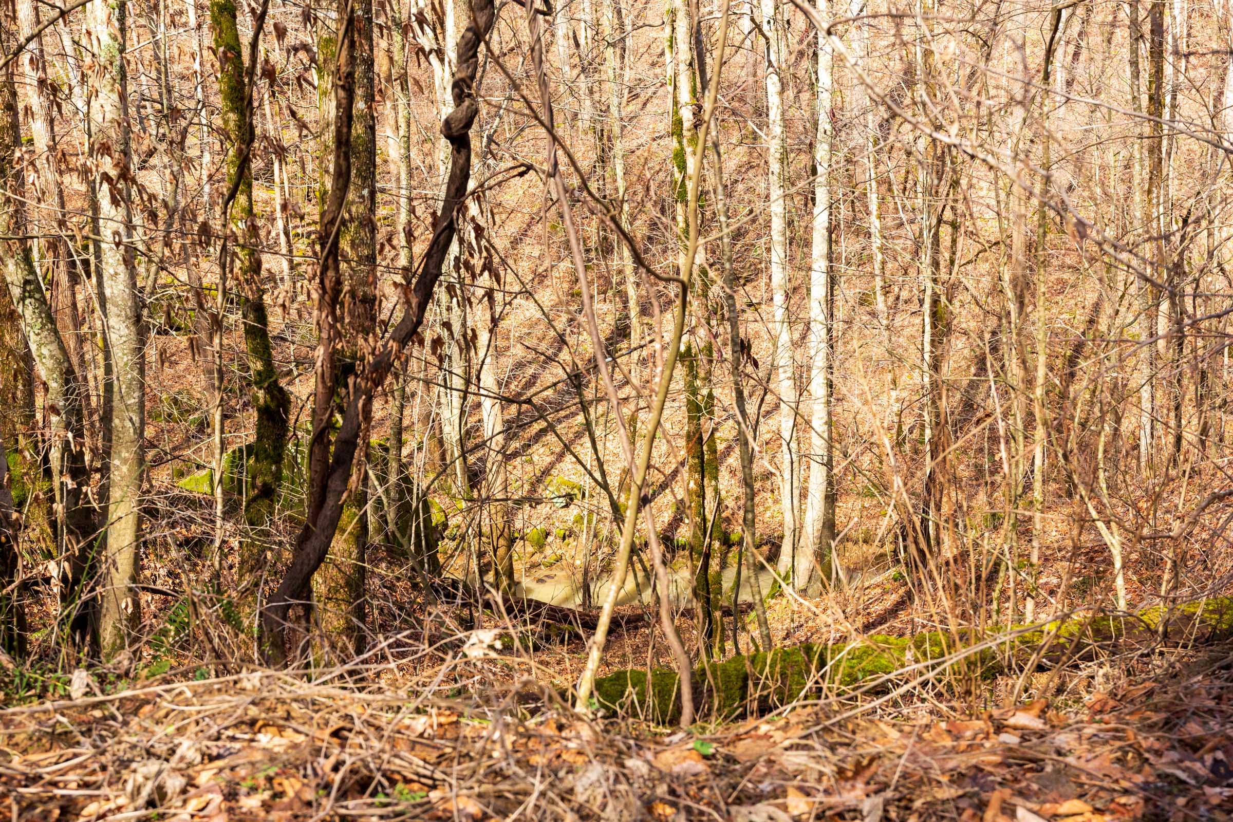Blackstone Mountain Phase II Tract 70 photo 11