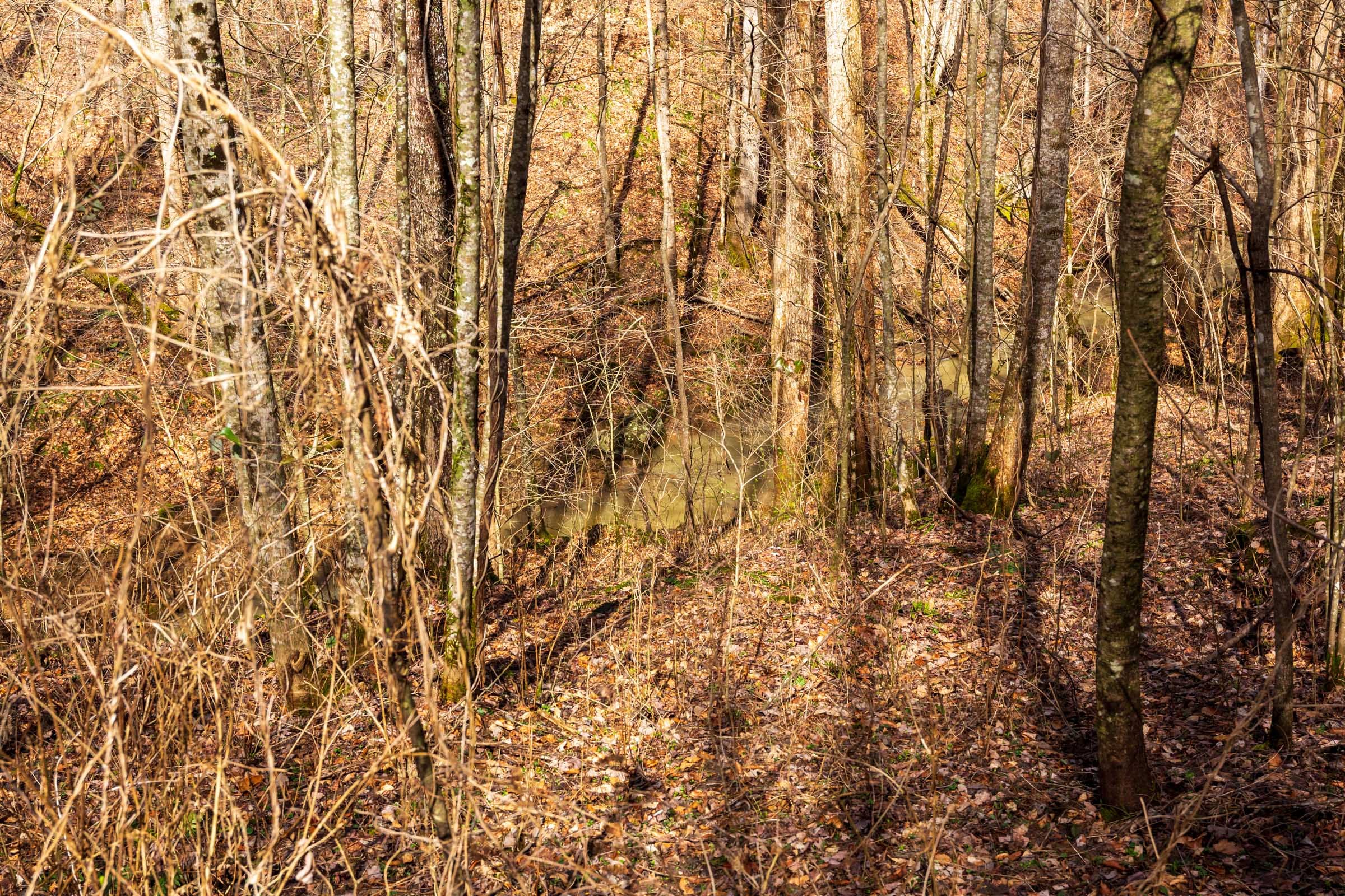Blackstone Mountain Phase II Tract 70 photo 12