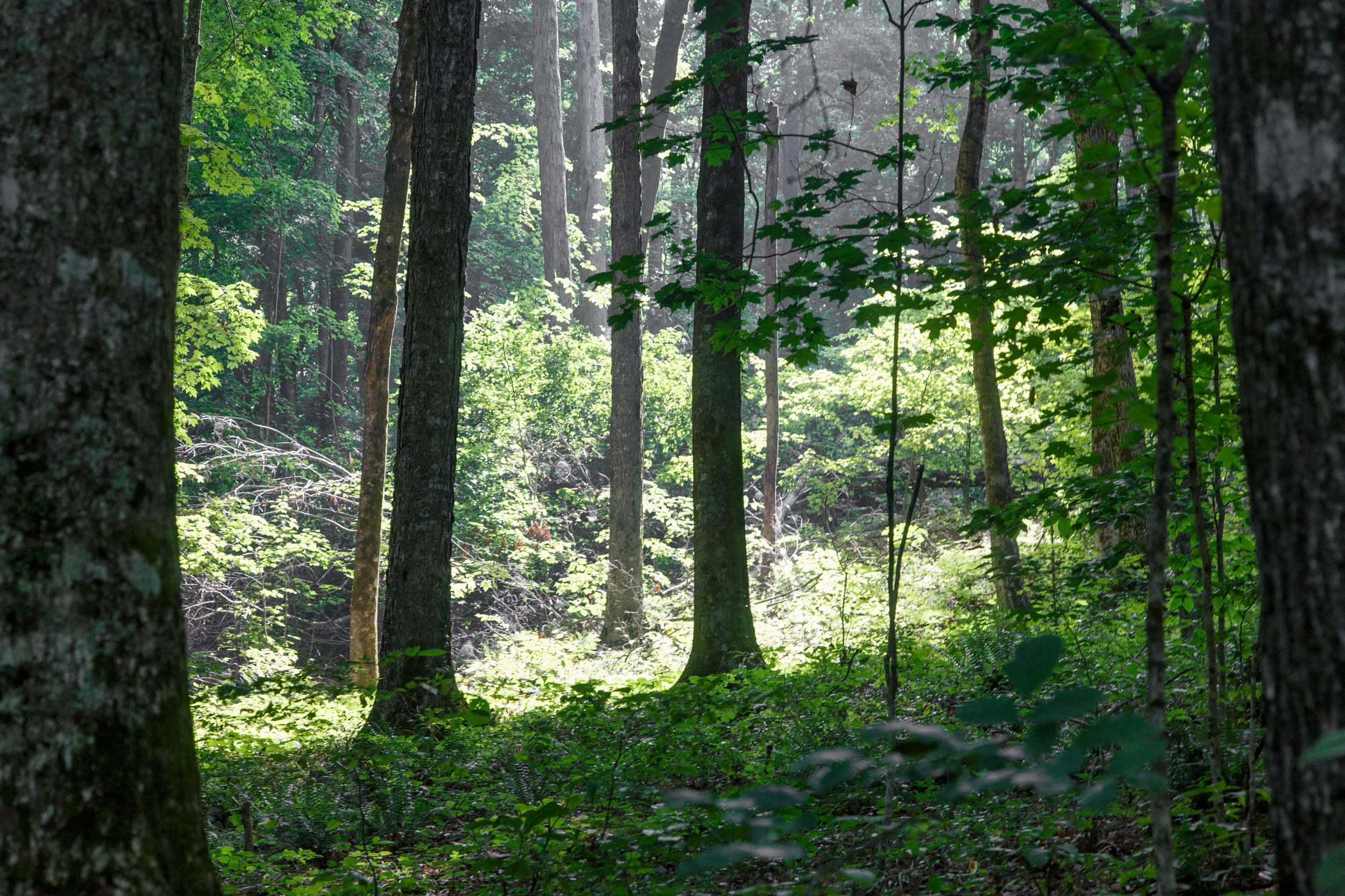 Rolling Hills Tract 15 photo 3