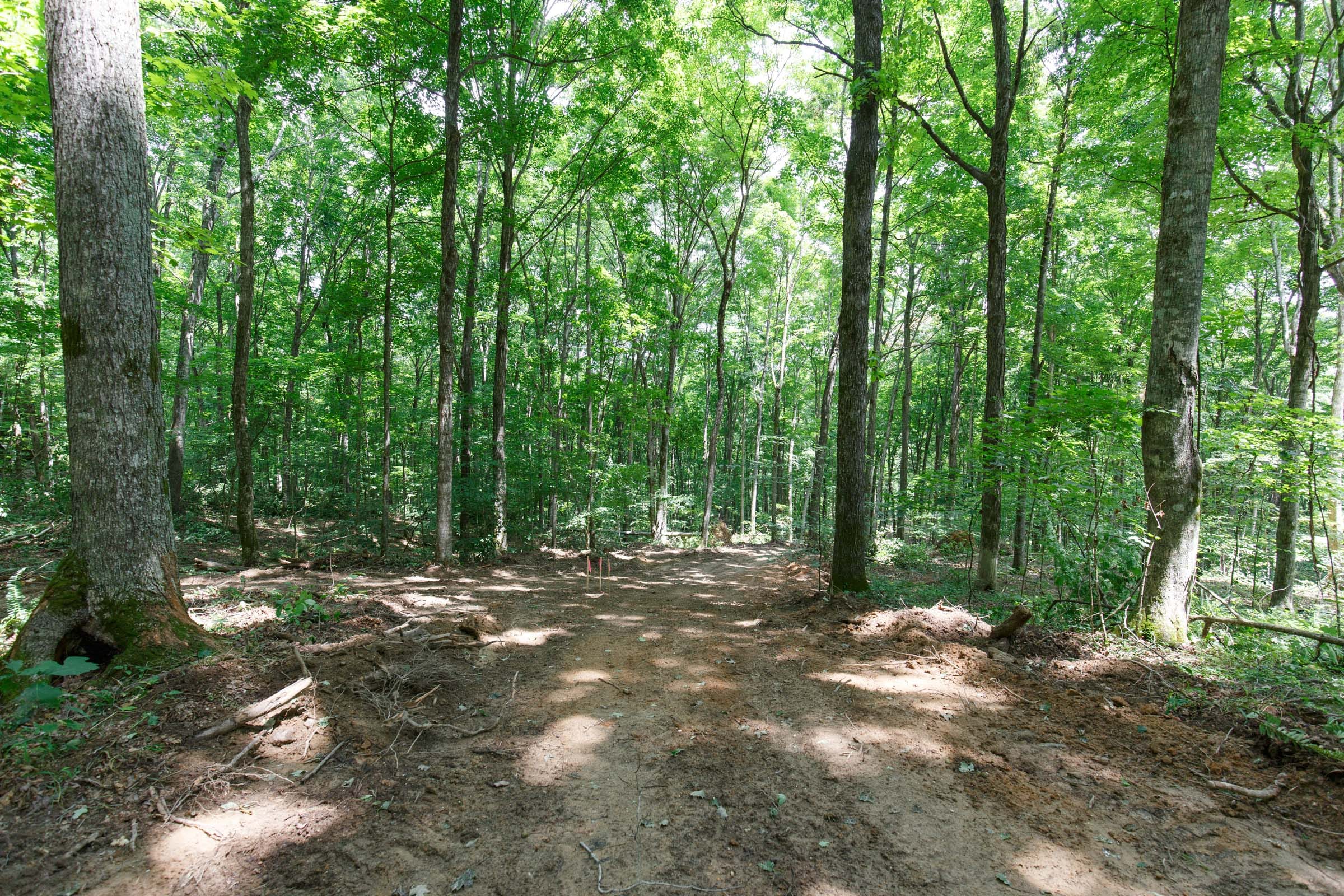 Rolling Hills Tract 15 photo 13