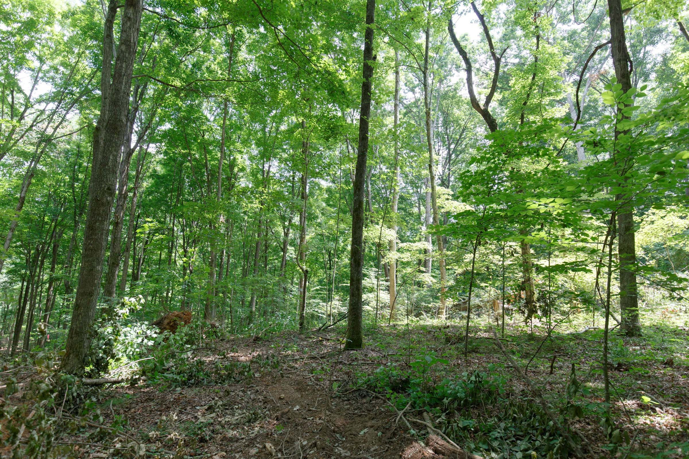 Rolling Hills Tract 15 photo 4